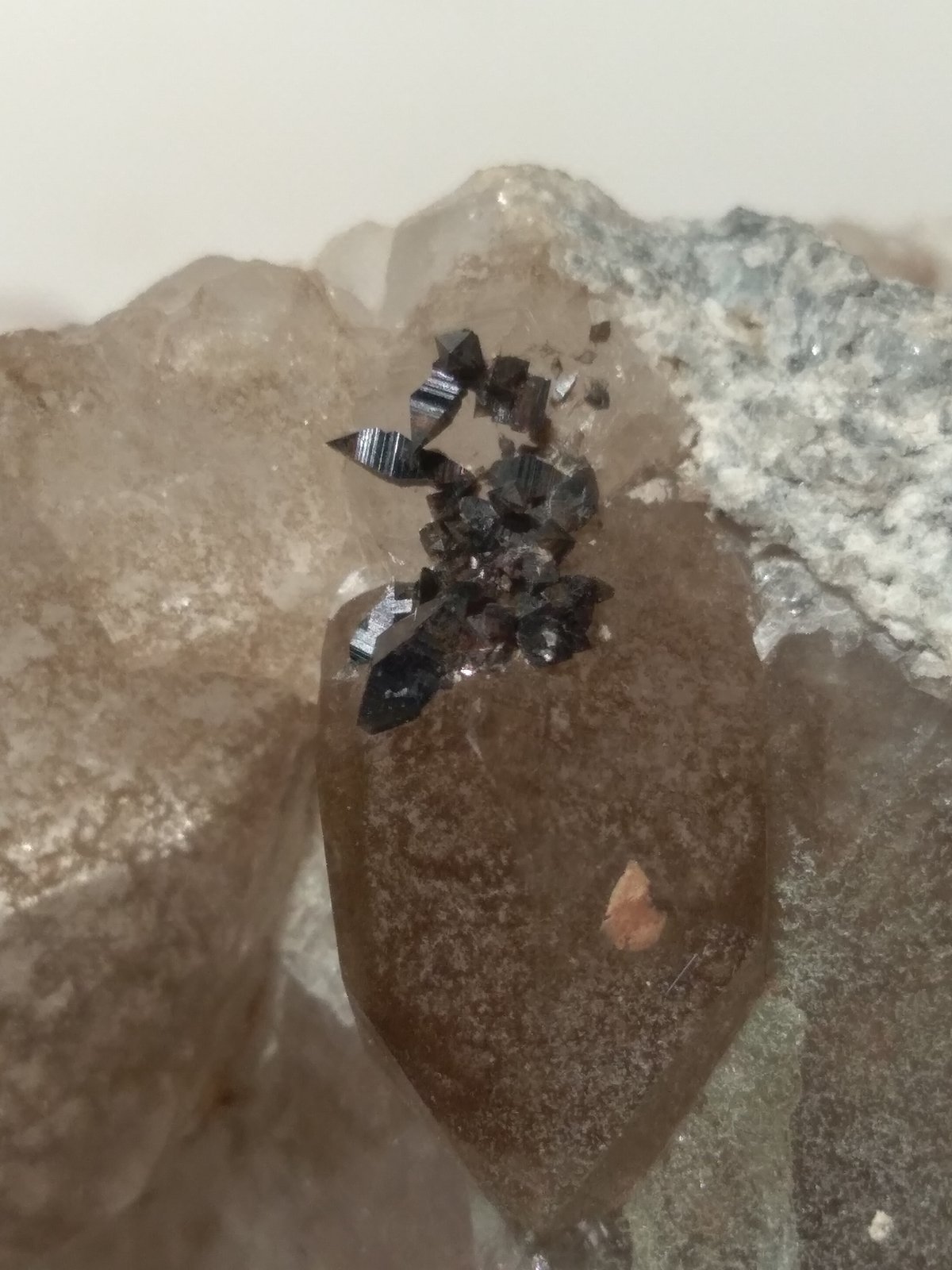 Anatase, Quartz, Chlorite (Group)
76 x 74 mm
(Autor: Sante Celiberti)