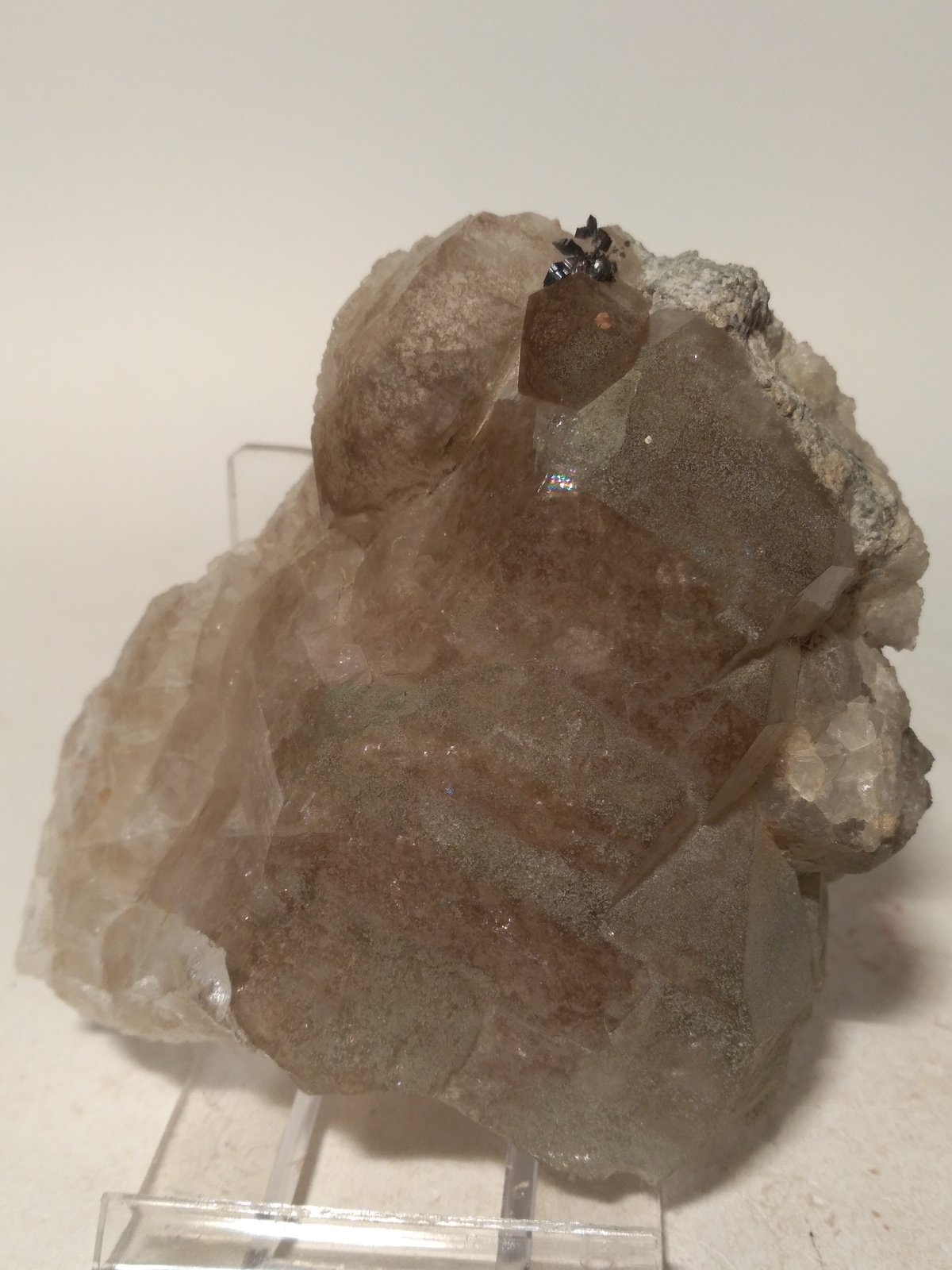 Anatase, Quartz, Chlorite (Group)
76 x 74 mm
(Autor: Sante Celiberti)