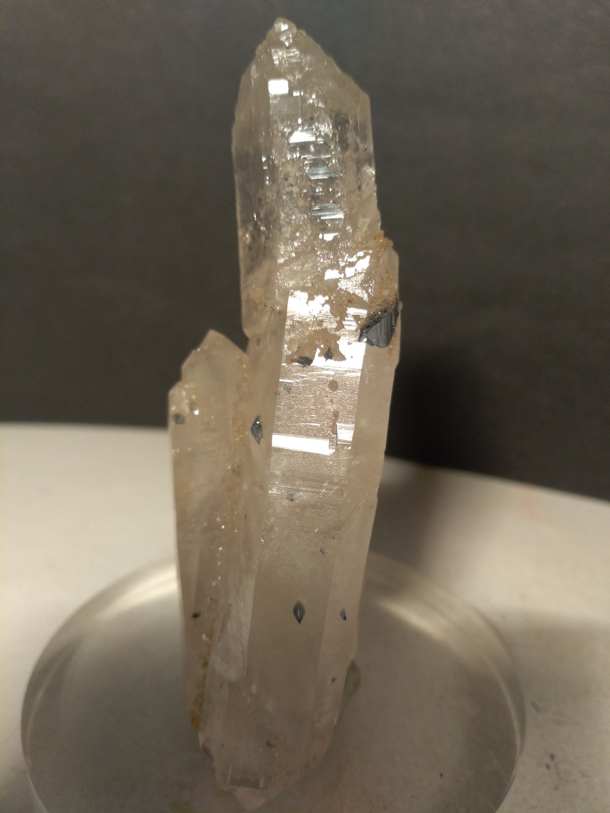 Anatase, Quartz
77 x 32 mm
(Autor: Sante Celiberti)