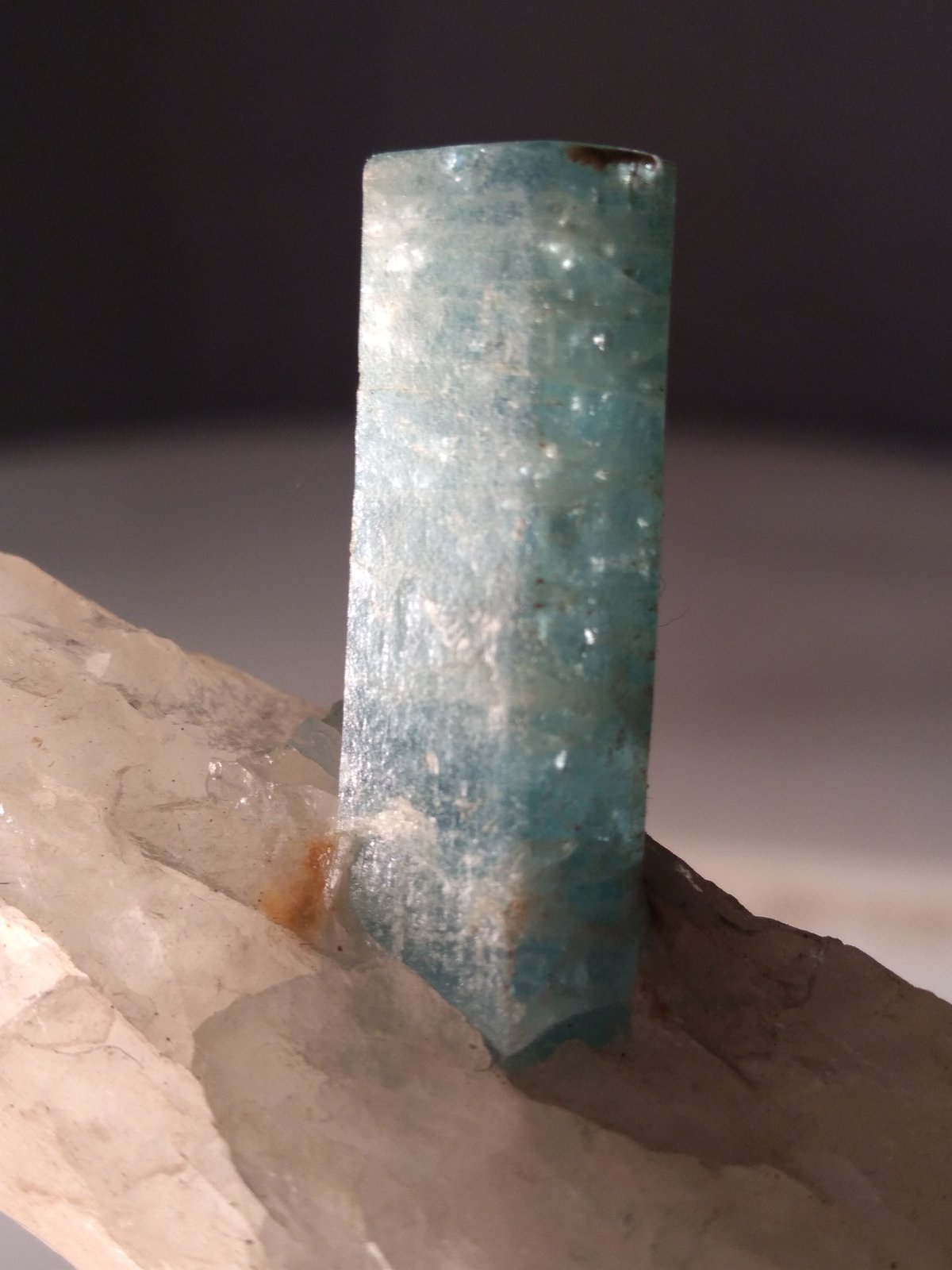 Beryl (variety aquamarine), Quartz
93 x 38 mm
(Autor: Sante Celiberti)