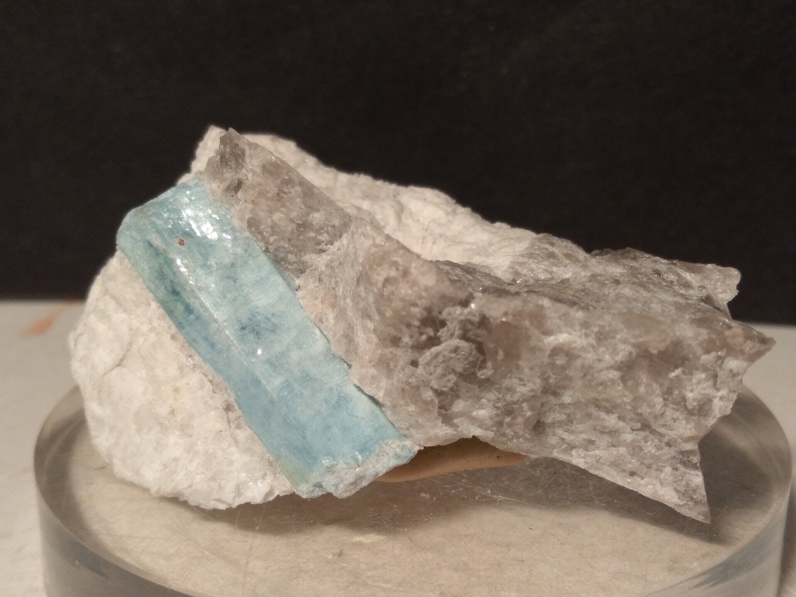 Beryl (variety aquamarine)
57 x 36 mm
(Autor: Sante Celiberti)