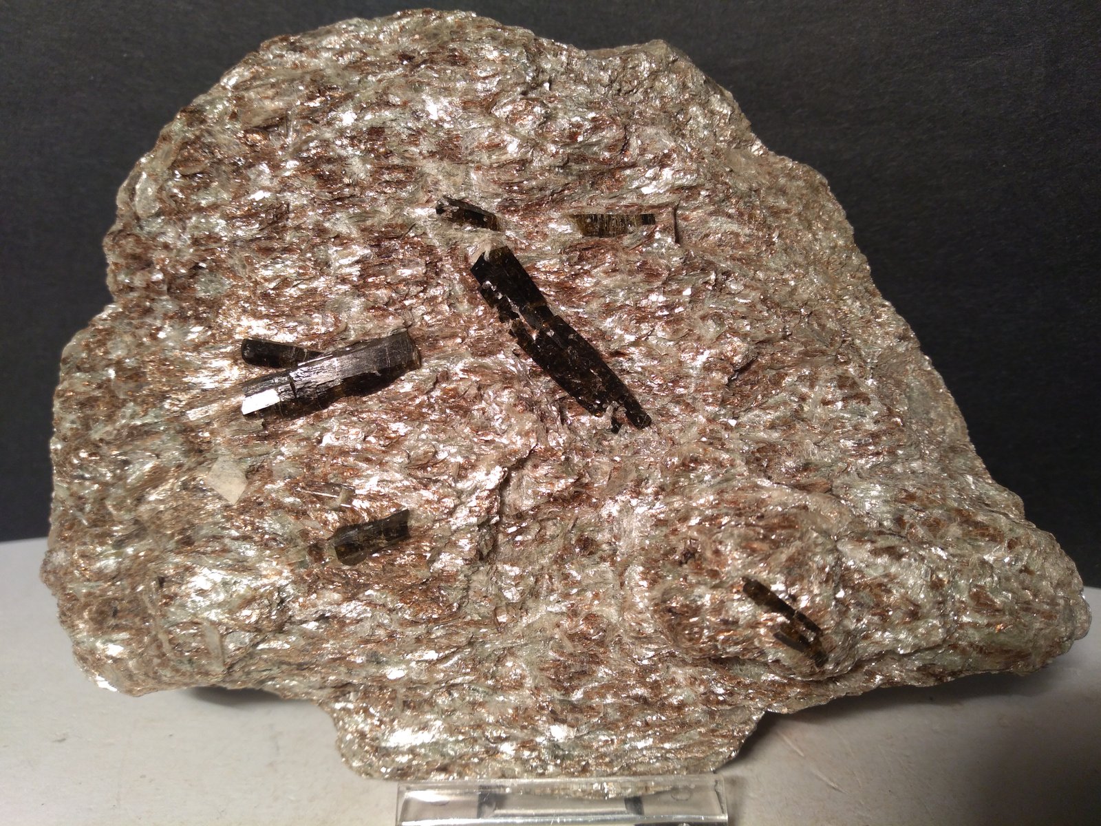Dravite (Tourmaline Group)
132 x 98 mm
(Autor: Sante Celiberti)
