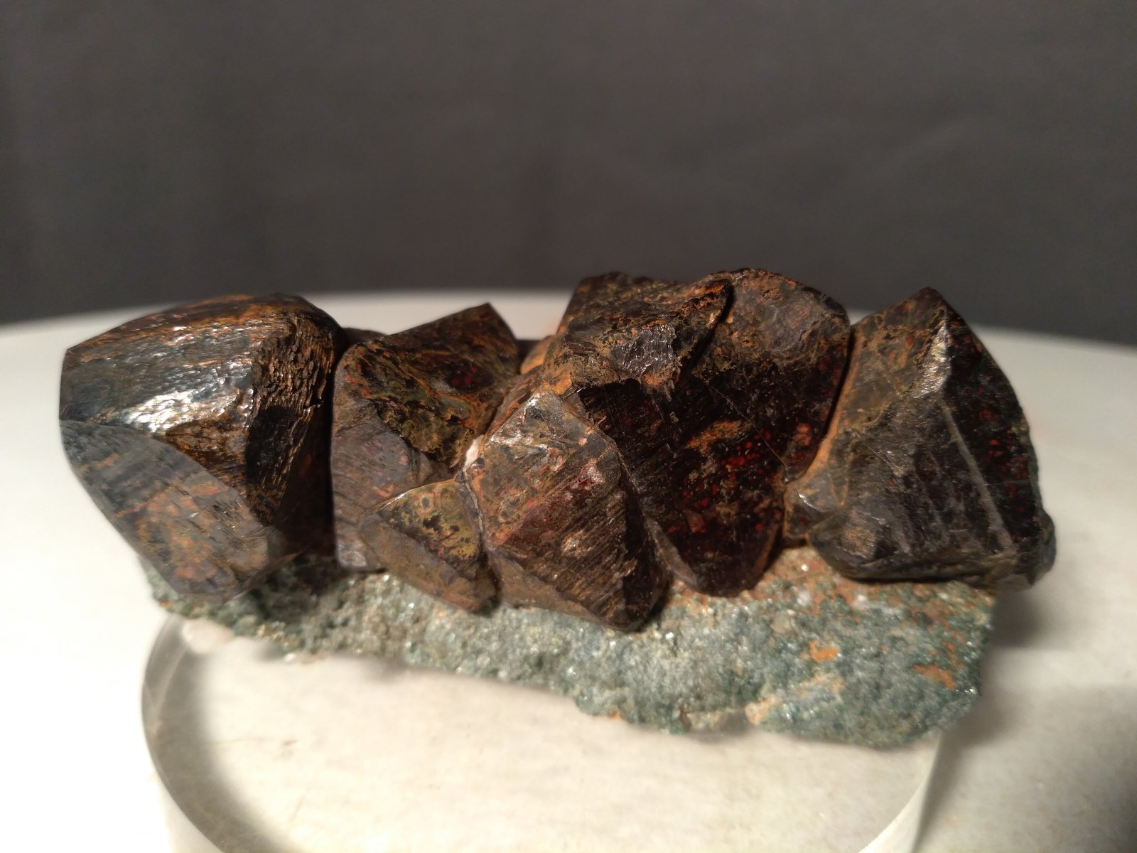Goethite after Pyrite
66 x 32,5 mm
(Autor: Sante Celiberti)