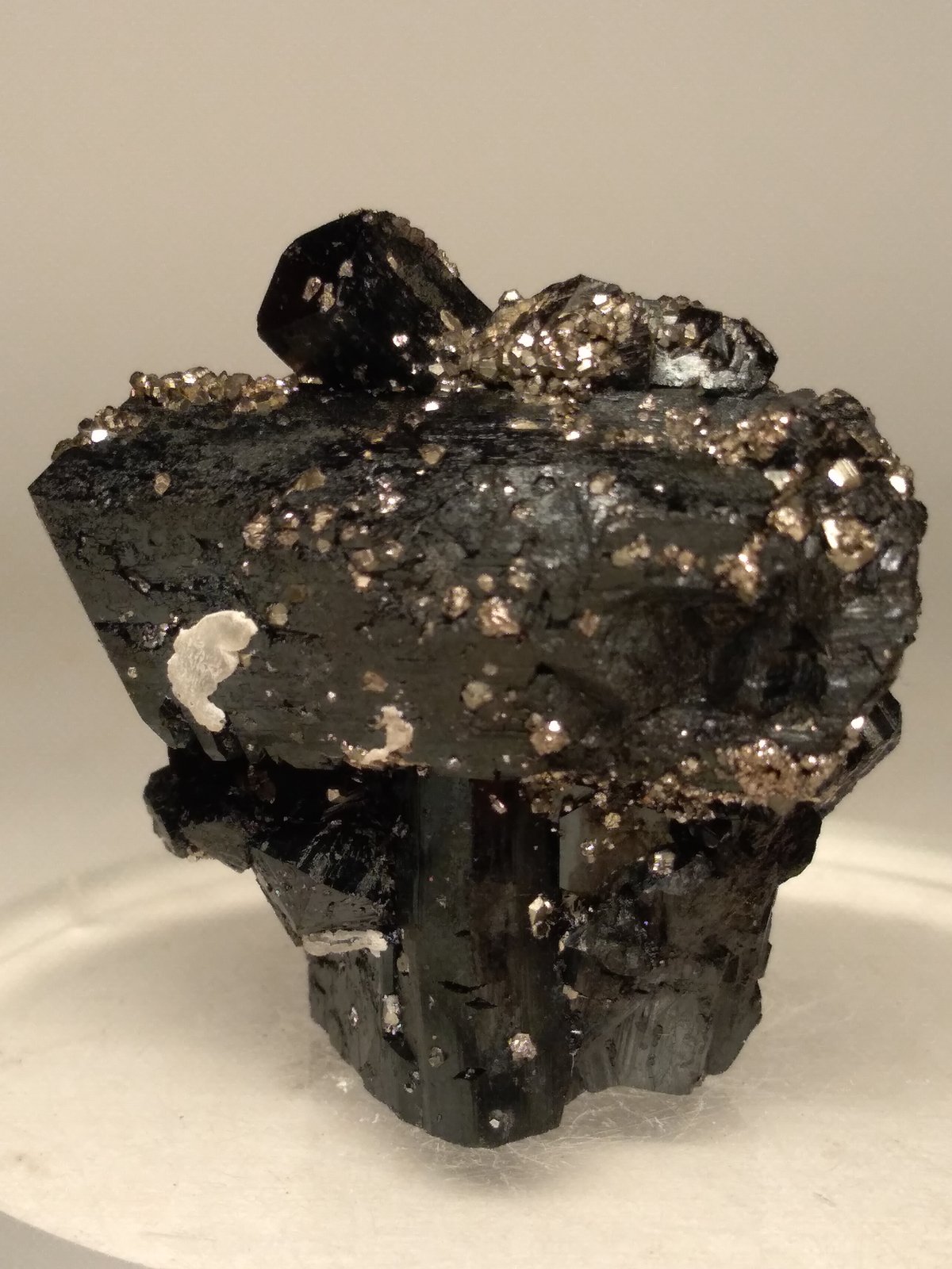 Ilvaite, Pyrite
32,5 x 34,2 mm
(Autor: Sante Celiberti)