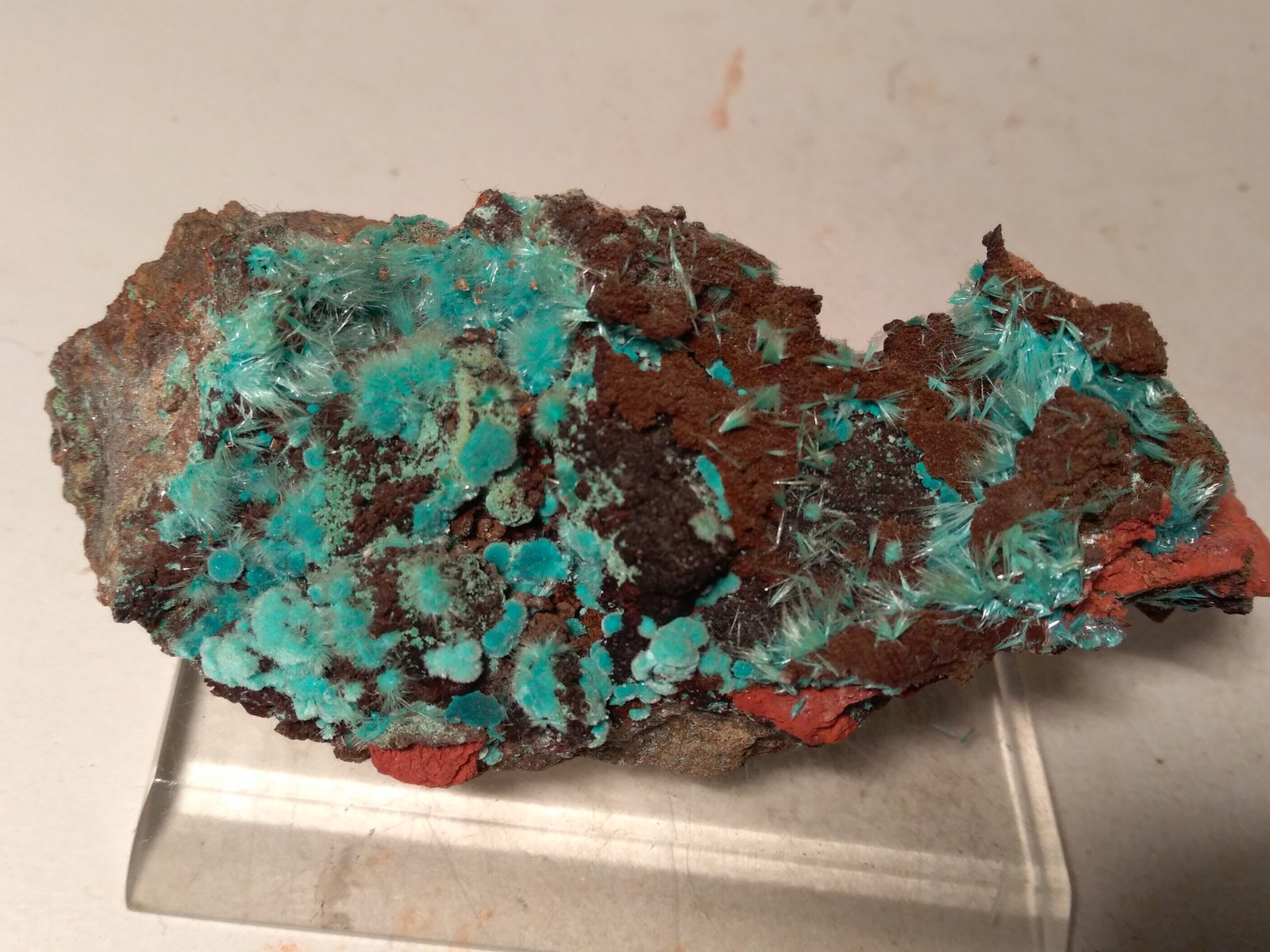 Aurichalcite, Rosasite
10,5 x 6 cm
(Autor: Sante Celiberti)