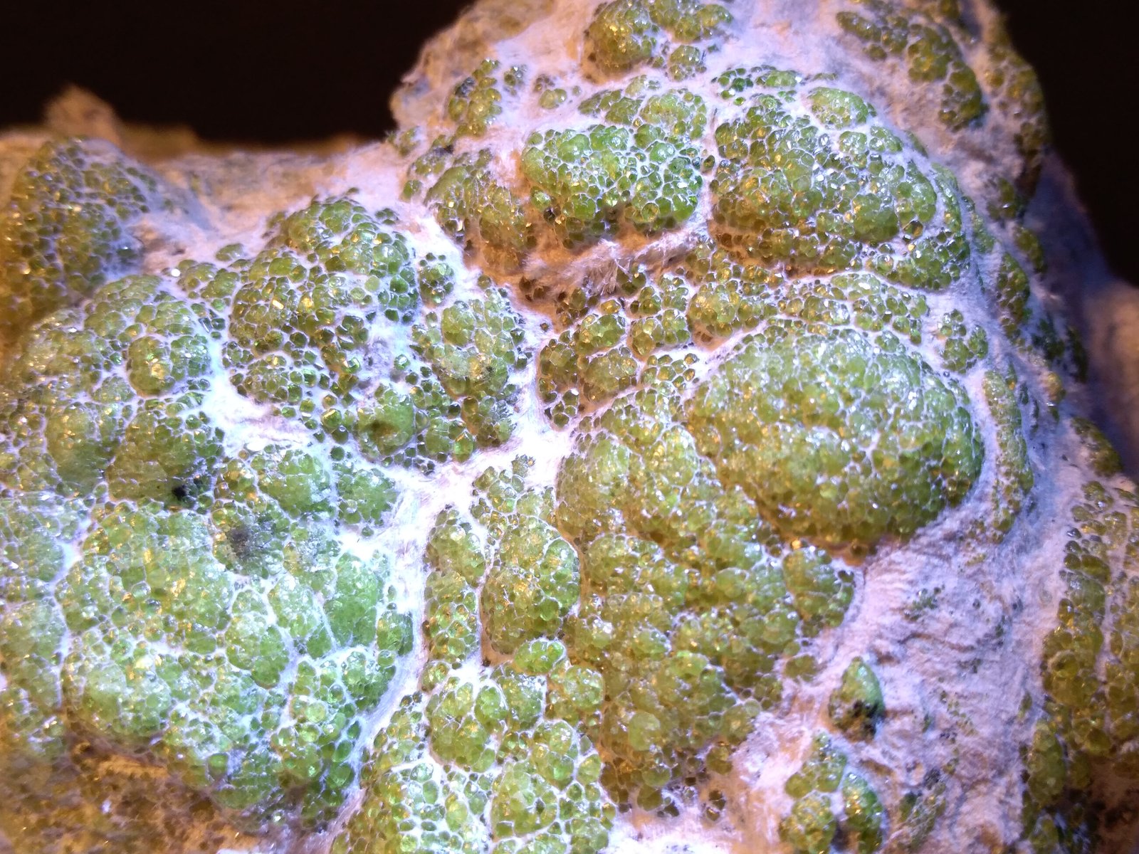 Andradite (variety demantoid), asbestos
125 x 78,3 mm
(Autor: Sante Celiberti)