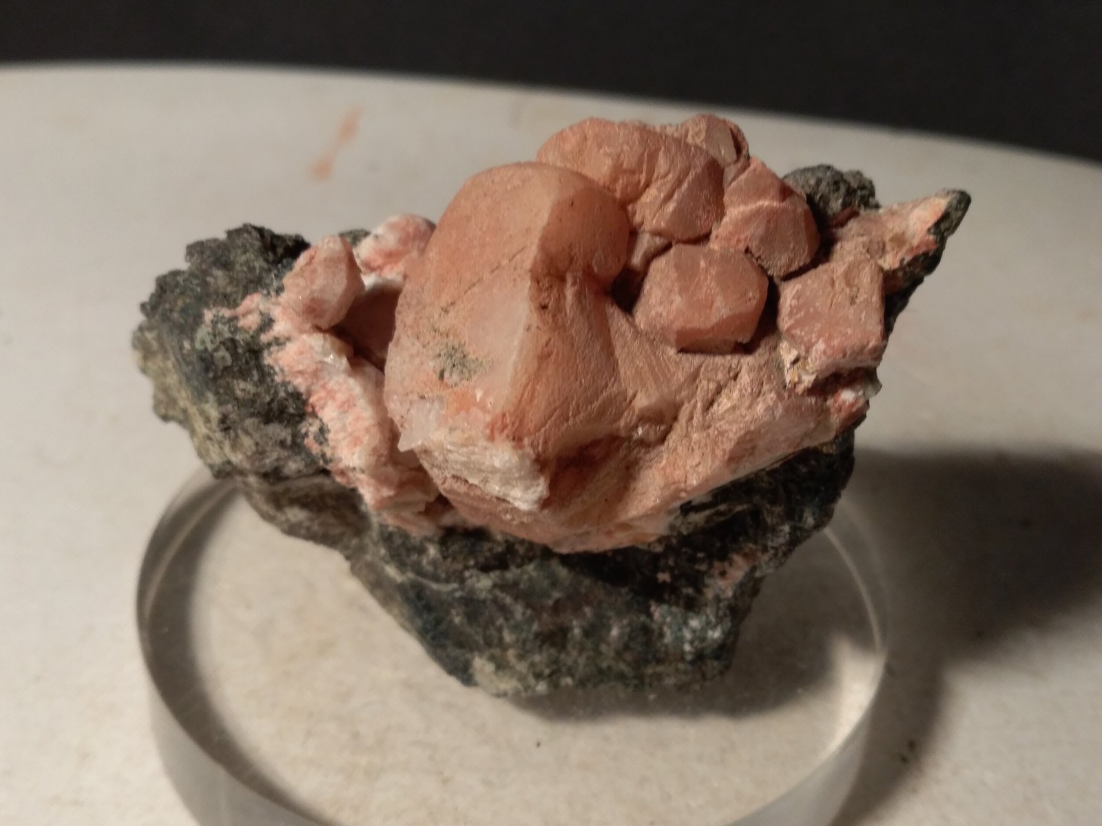 Anorthite
61,5 x 39 mm
(Autor: Sante Celiberti)