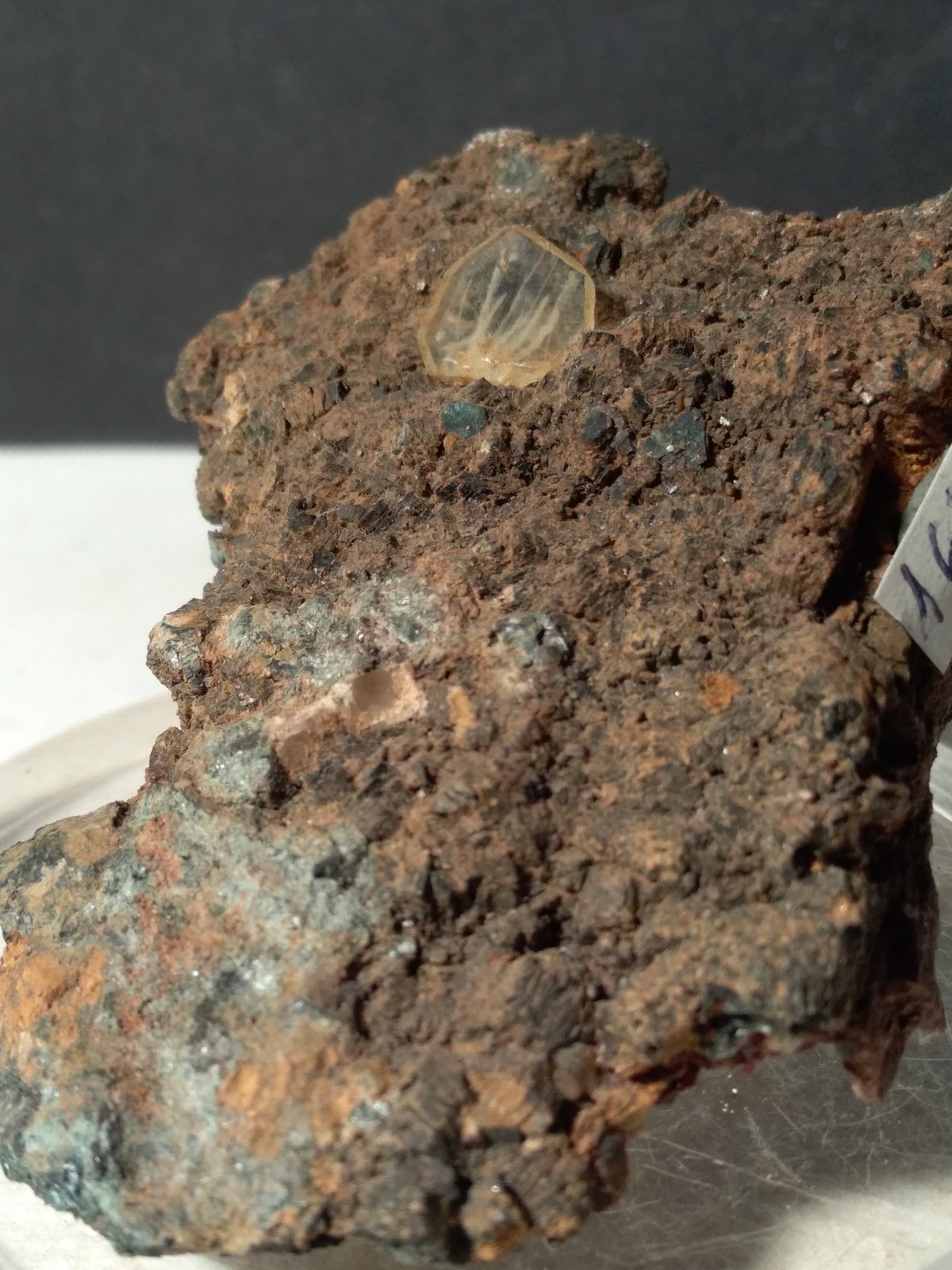 Titanite, Chlorite (Group)
62,5 x 49 mm
(Autor: Sante Celiberti)