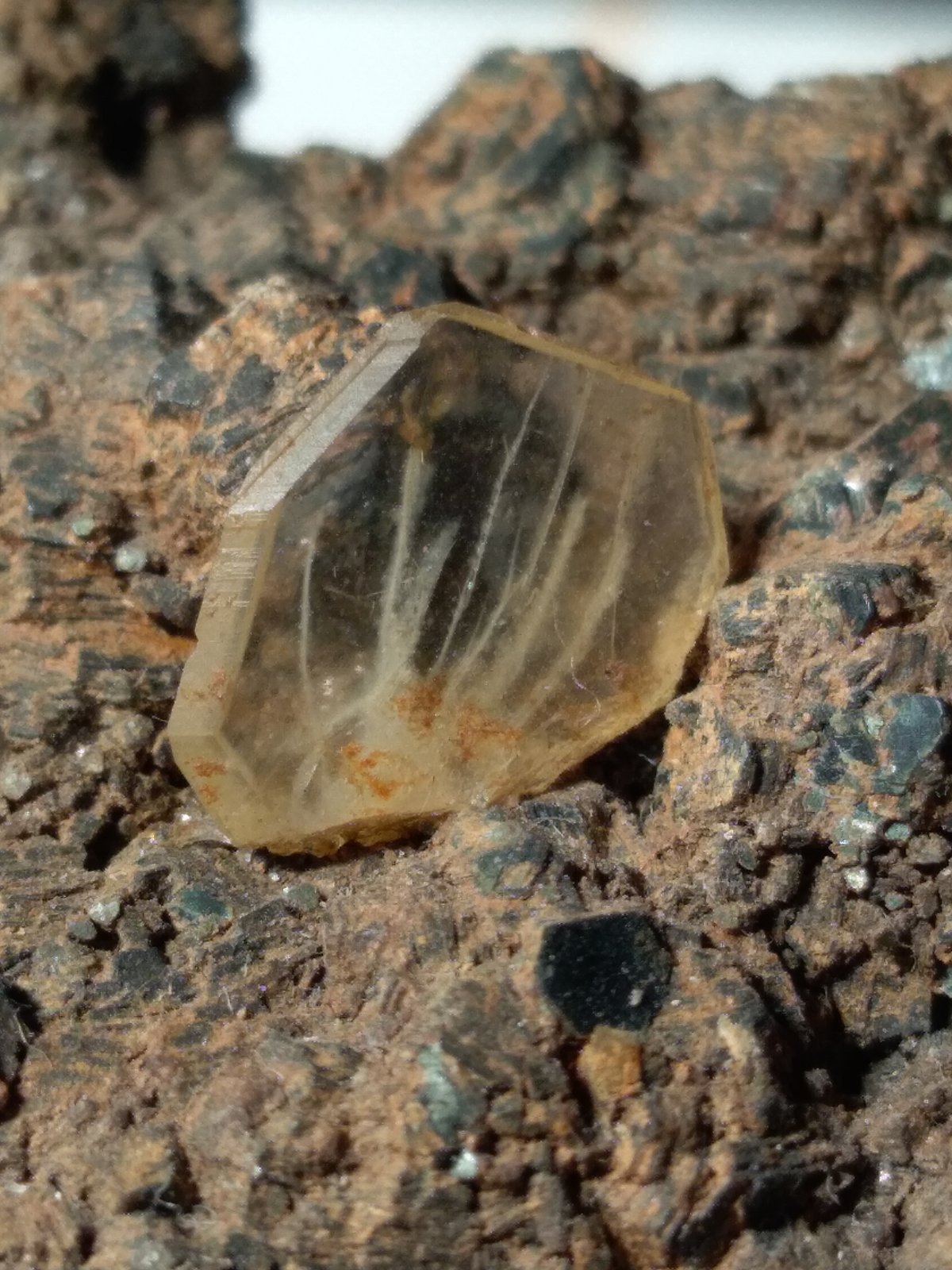 Titanite, Chlorite (Group)
62,5 x 49 mm
(Autor: Sante Celiberti)