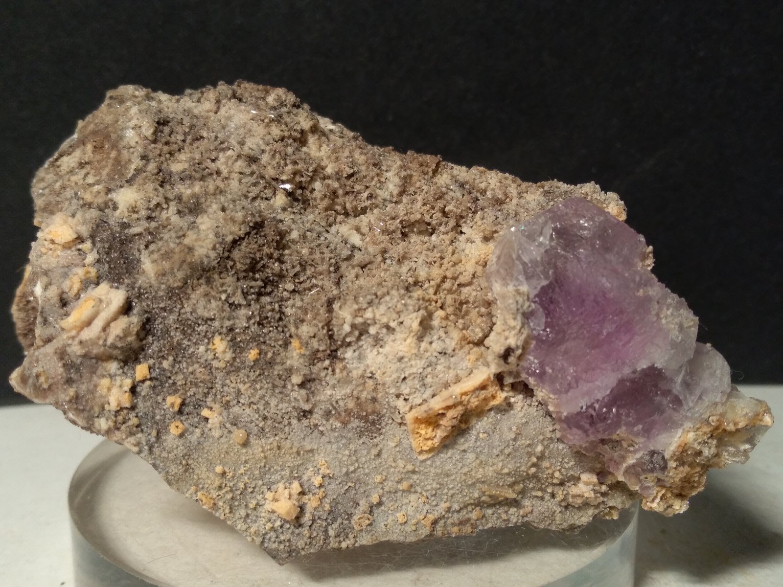Fluorite
77,5 x 47,5 mm
(Autor: Sante Celiberti)