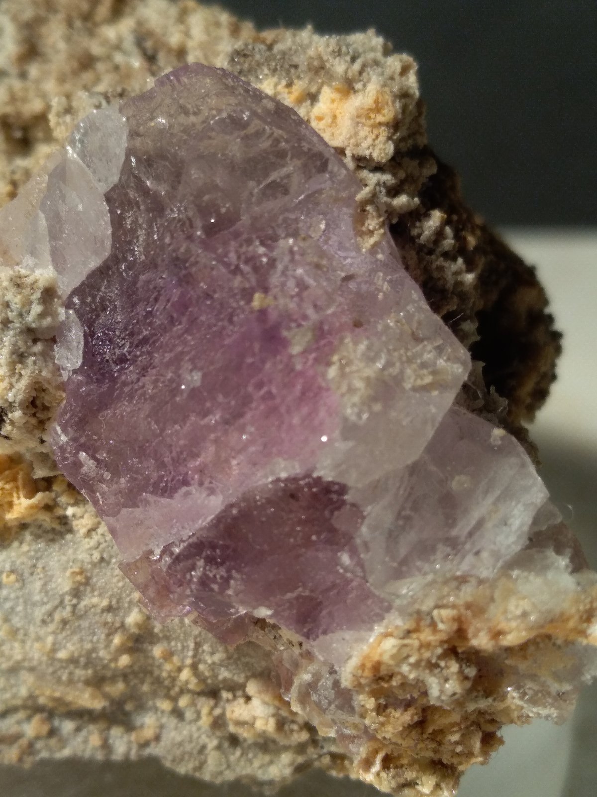 Fluorite
77,5 x 47,5 mm
(Autor: Sante Celiberti)