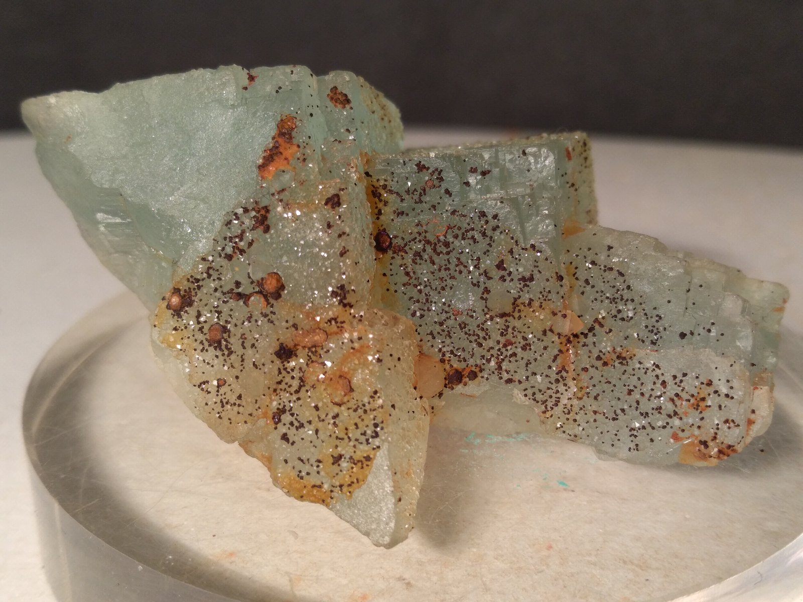 Fluorite, Pyrite
55 x 39 mm
(Autor: Sante Celiberti)