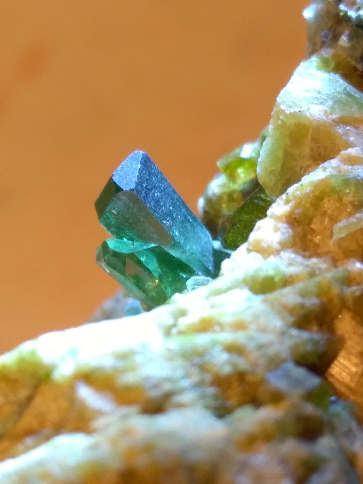 Diopside
52 x 44 mm
(Autor: Sante Celiberti)