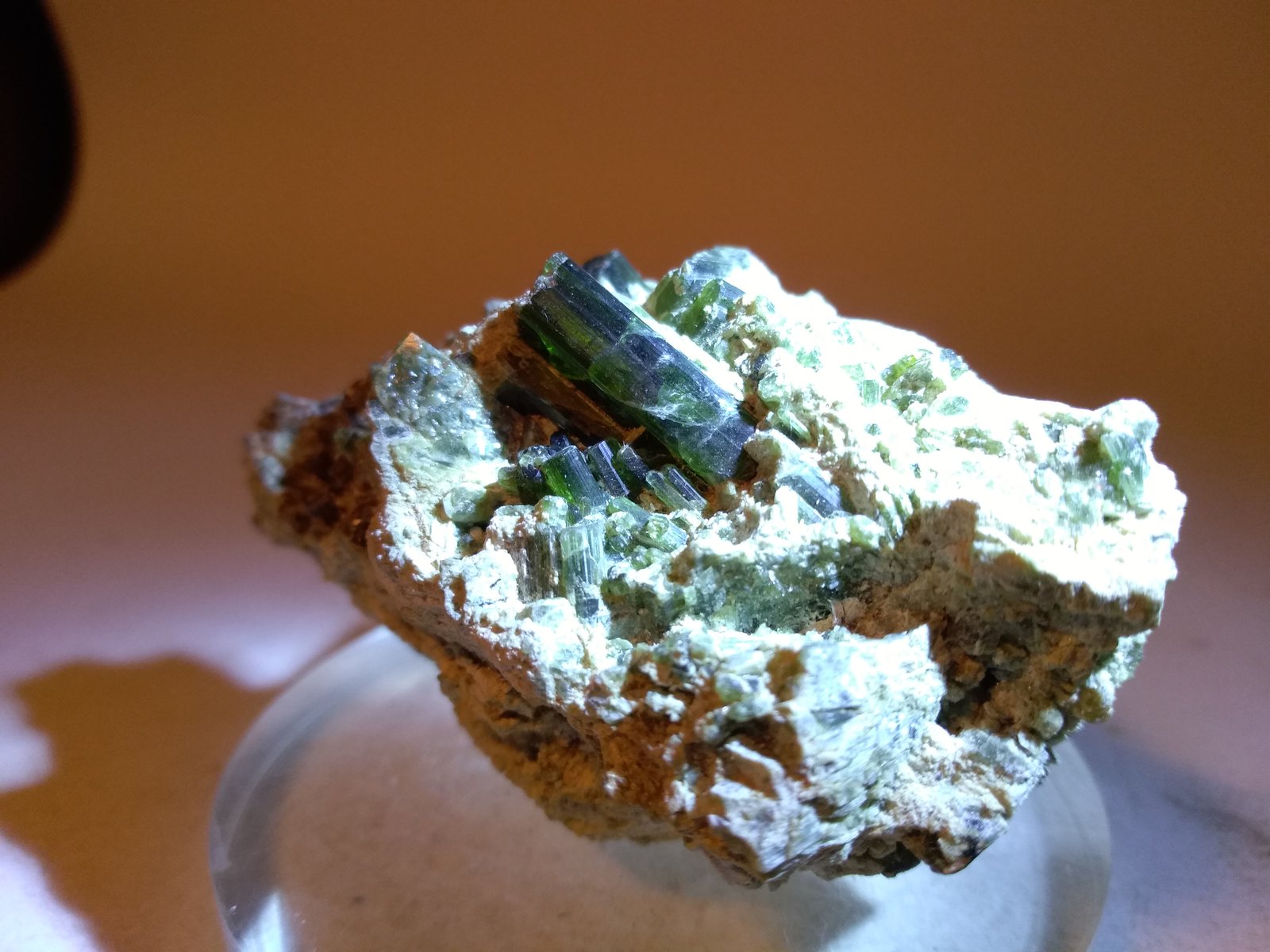 Vesuvianite
63 x 39 mm
(Autor: Sante Celiberti)