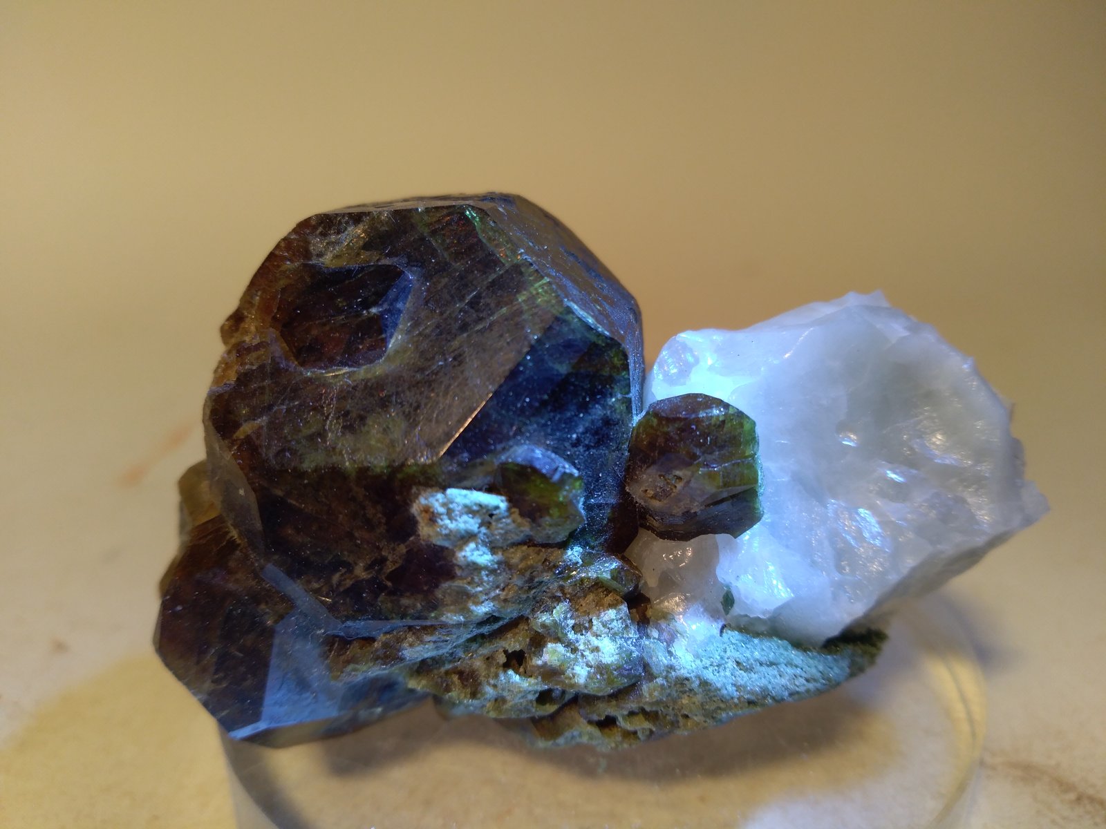 Vesuvianite
62 x 43 mm
(Autor: Sante Celiberti)