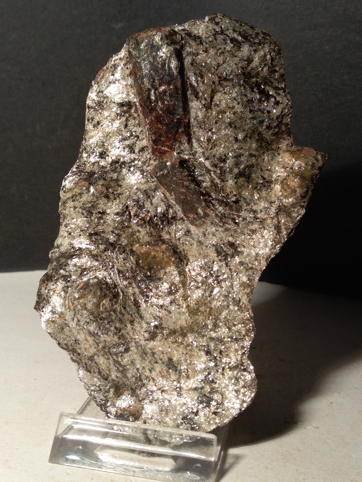 Staurolite
114 x 64 mm
(Autor: Sante Celiberti)