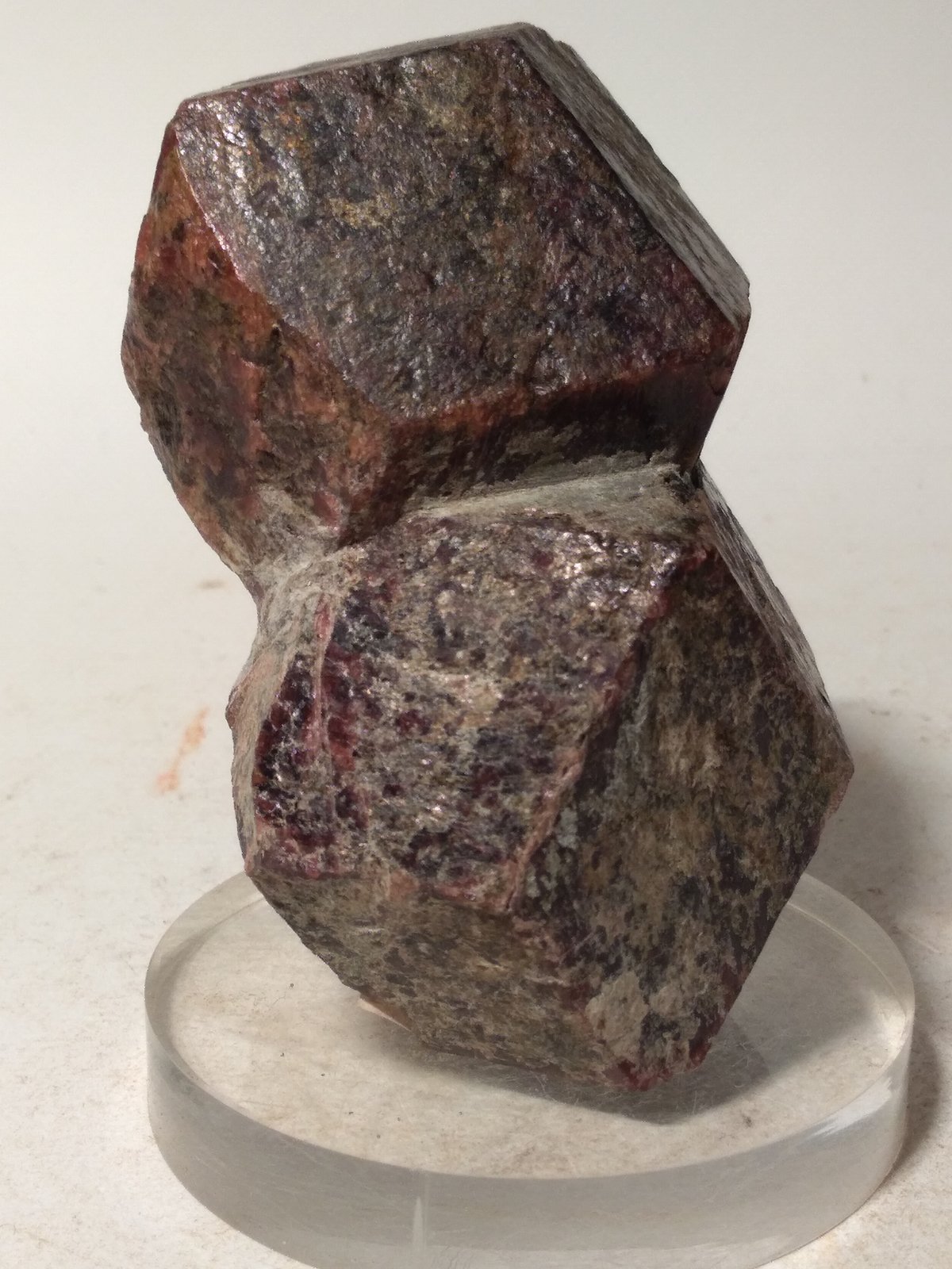 Almandine
84 x 55 mm
(Autor: Sante Celiberti)