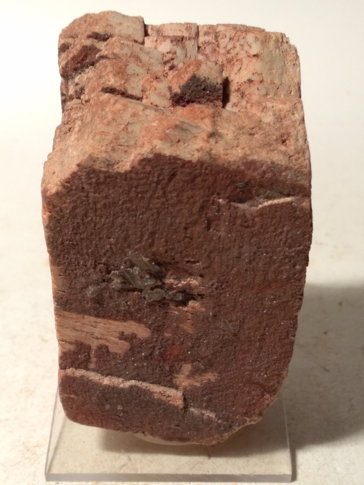 Orthoclase
80 x 42 mm
(Autor: Sante Celiberti)