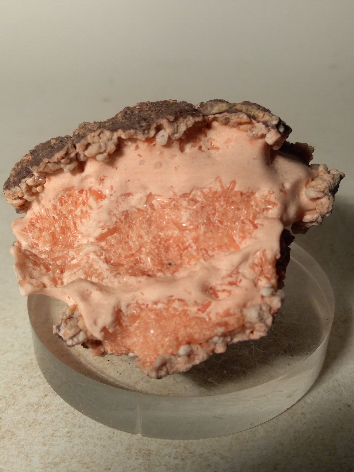 Mordenite
62 x 61 mm
(Autor: Sante Celiberti)