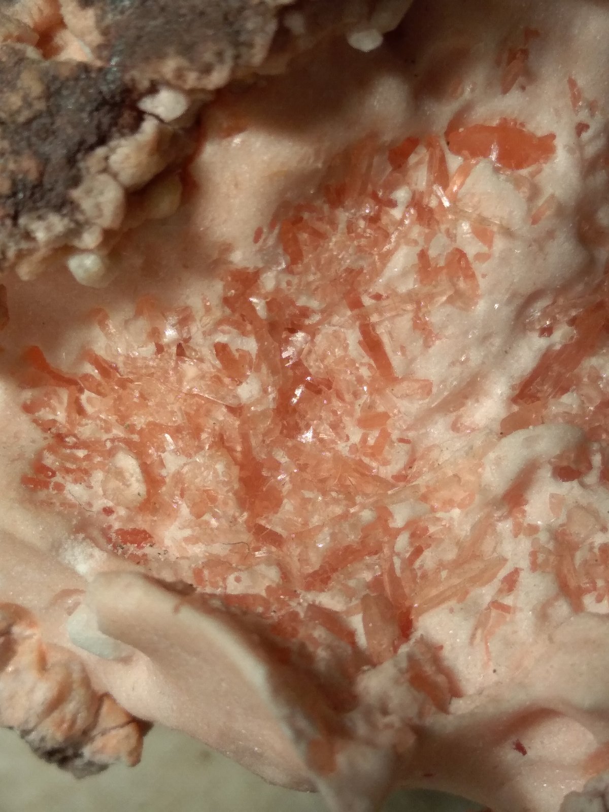 Mordenite
62 x 61 mm
(Autor: Sante Celiberti)