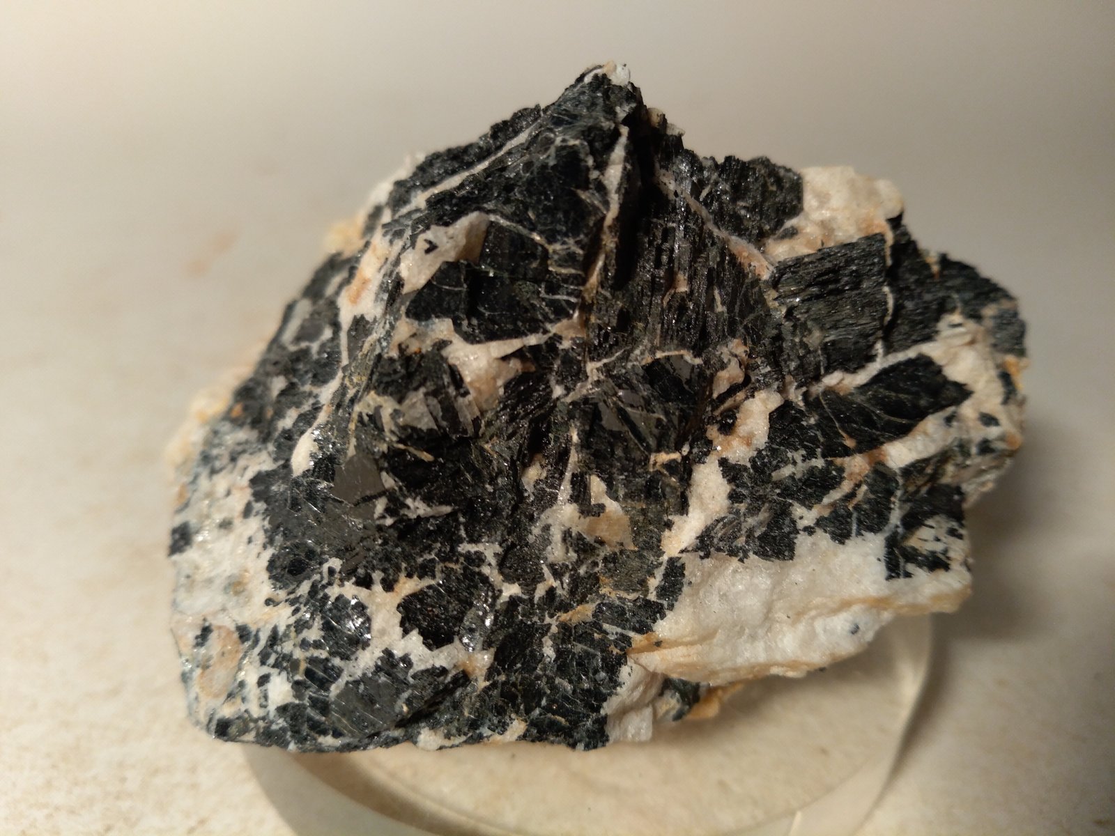 Chloritoid, Kyanite
66 x 46 mm
(Autor: Sante Celiberti)