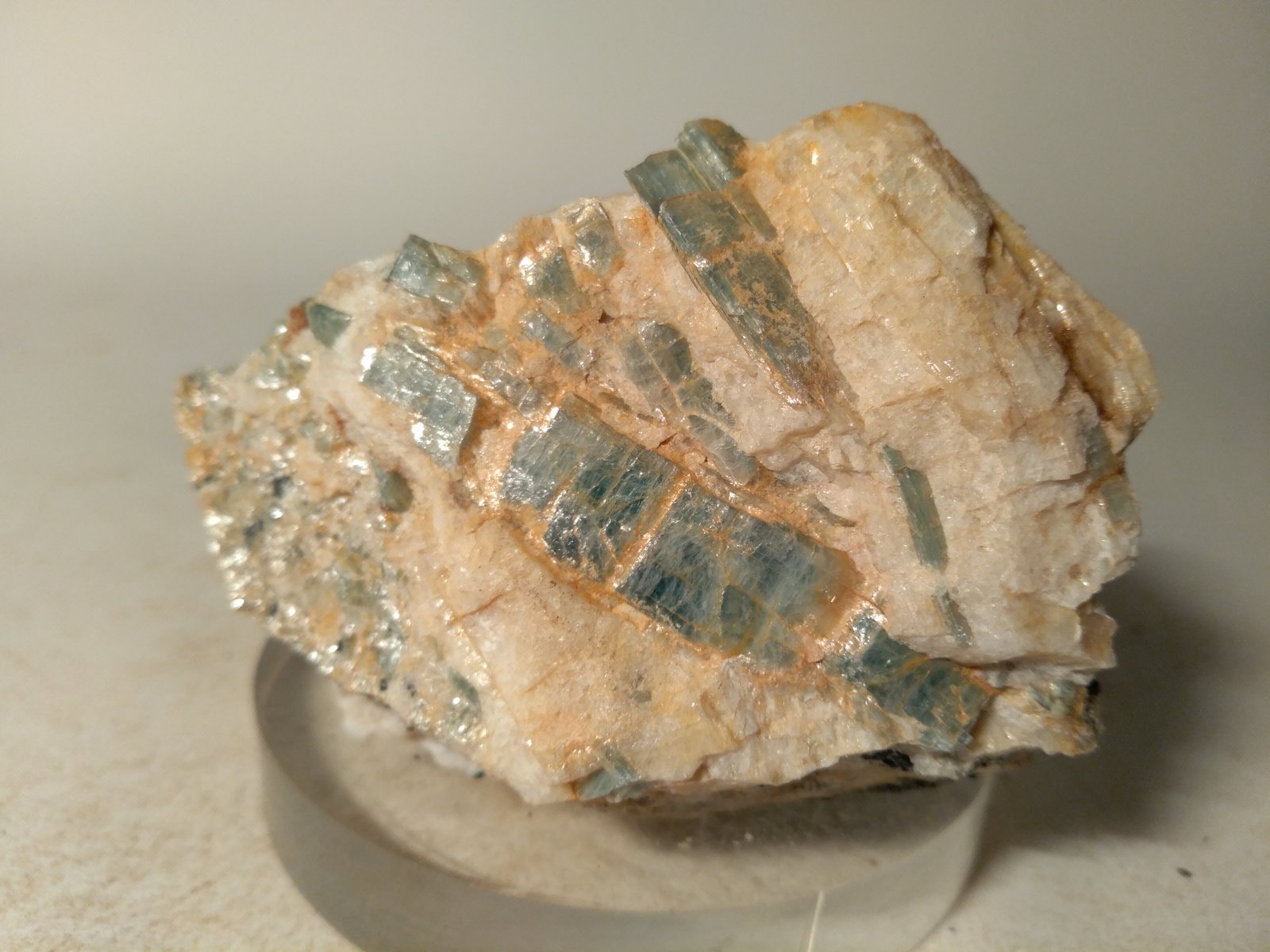 Chloritoid, Kyanite
66 x 46 mm
(Autor: Sante Celiberti)