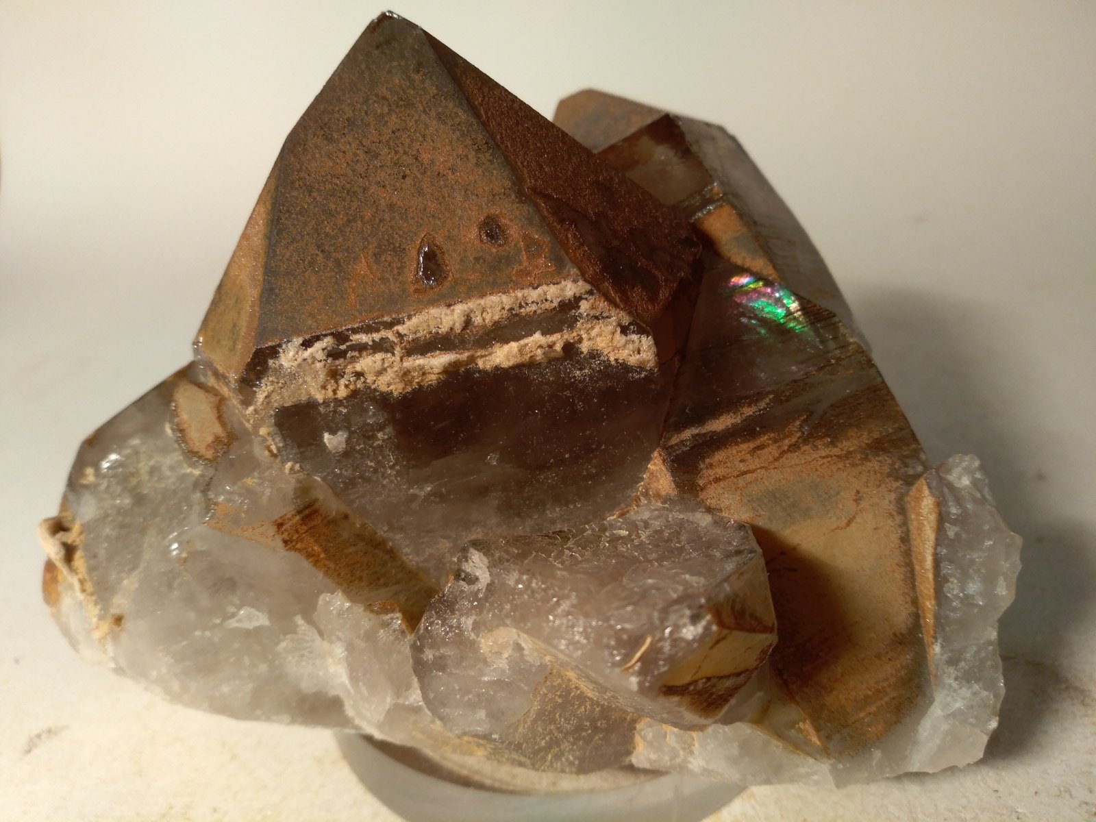 Quartz (variety smoky)
105 x 80 mm
(Autor: Sante Celiberti)