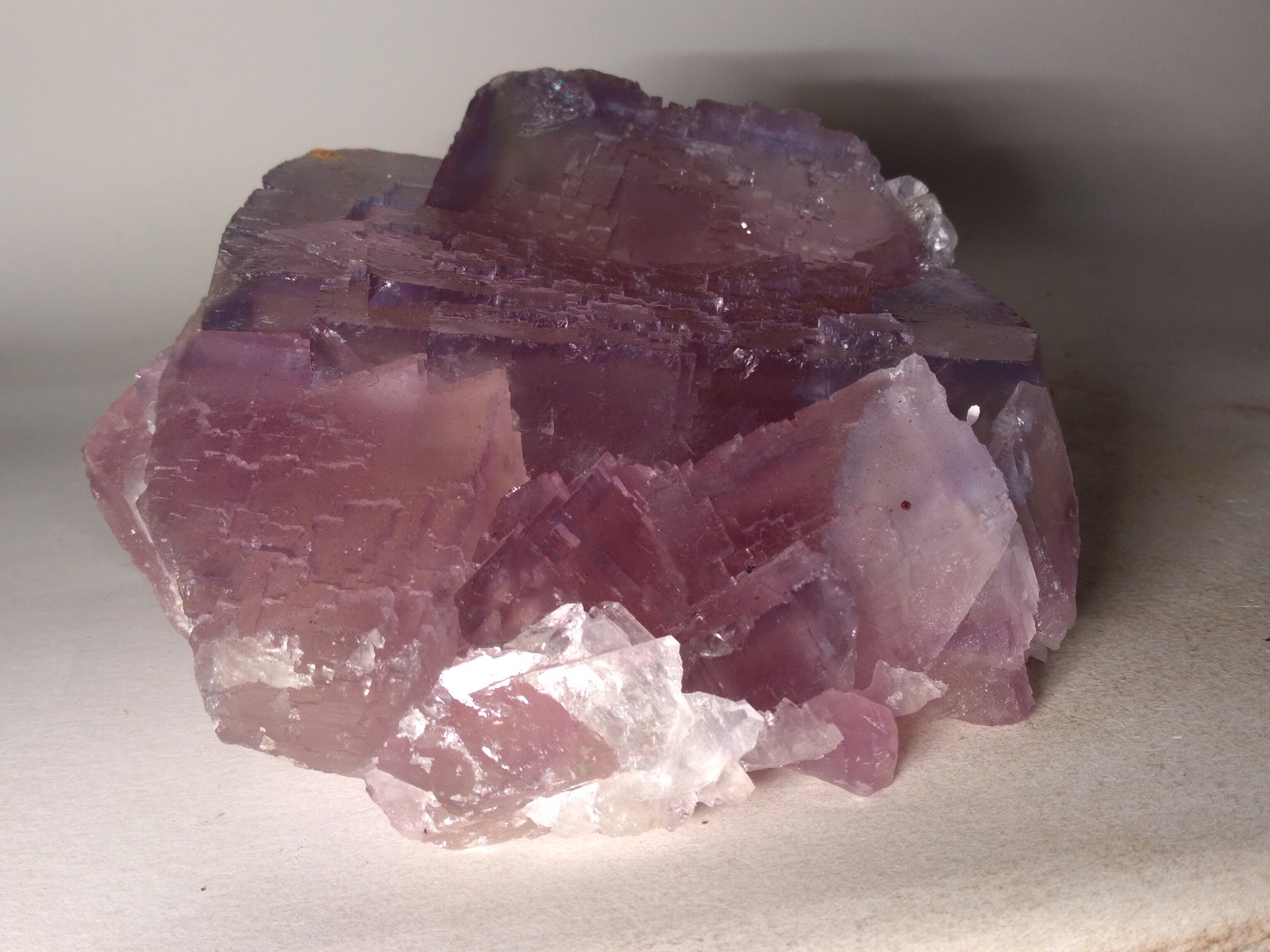 Fluorite
125 x 115 mm
(Autor: Sante Celiberti)