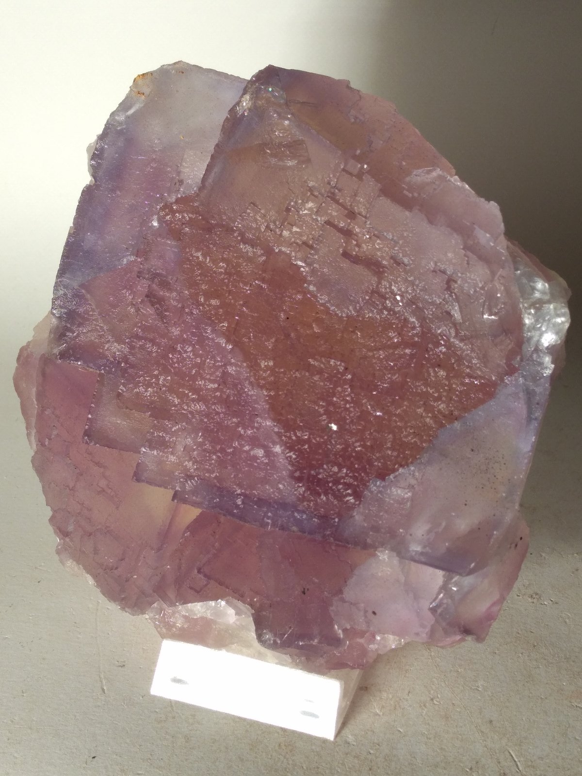Fluorite
125 x 115 mm
(Autor: Sante Celiberti)