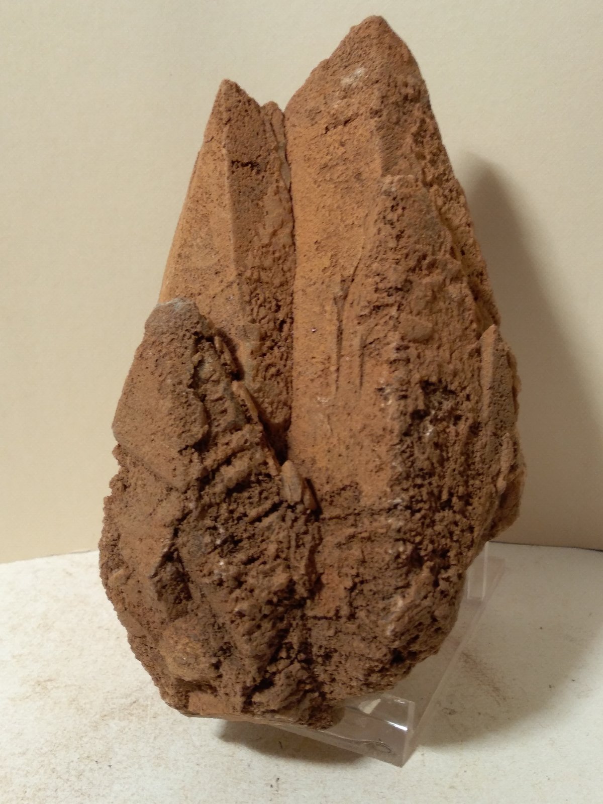 Calcite
130 x 76 mm
(Autor: Sante Celiberti)