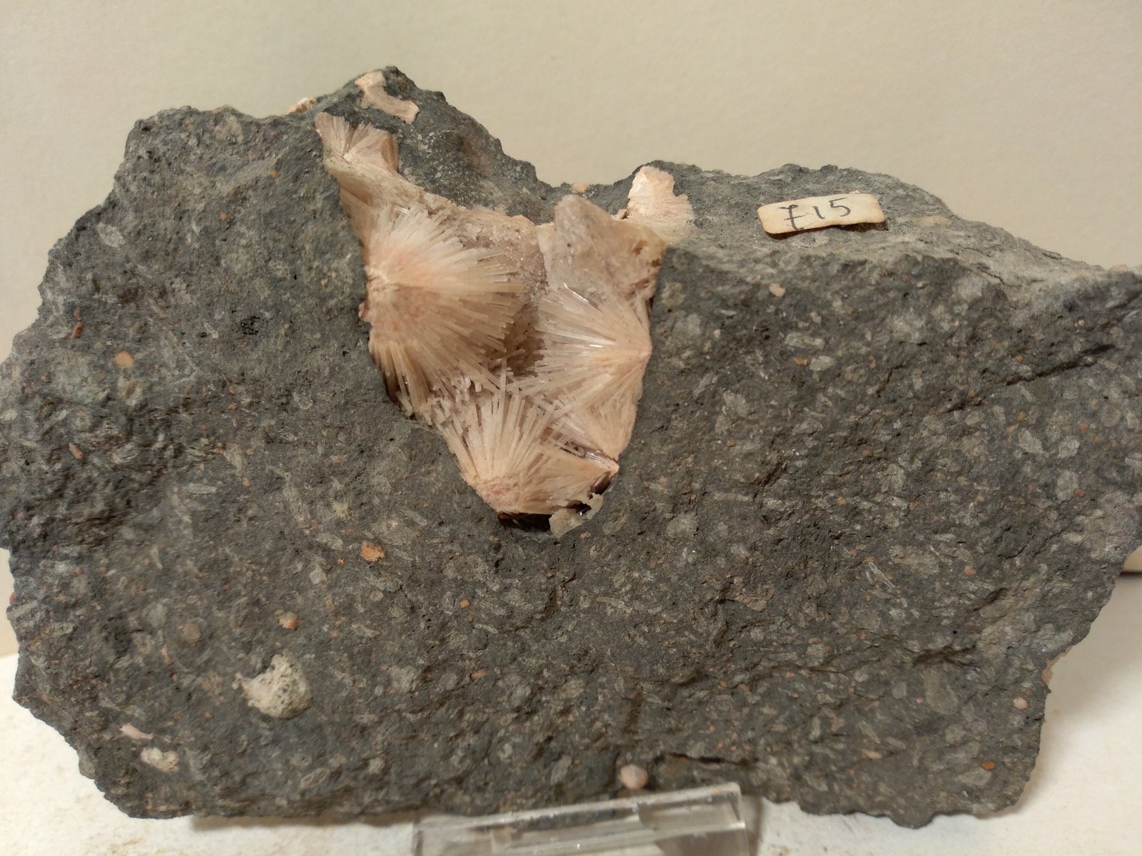 Natrolite
127 x 90 mm
(Autor: Sante Celiberti)