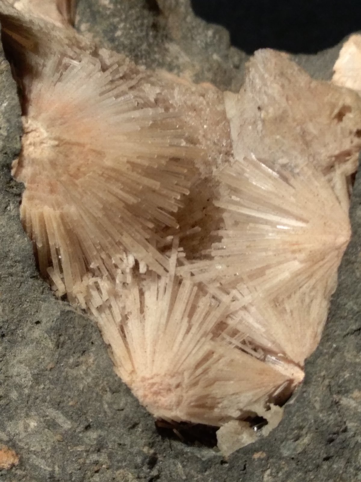 Natrolite
127 x 90 mm
(Autor: Sante Celiberti)
