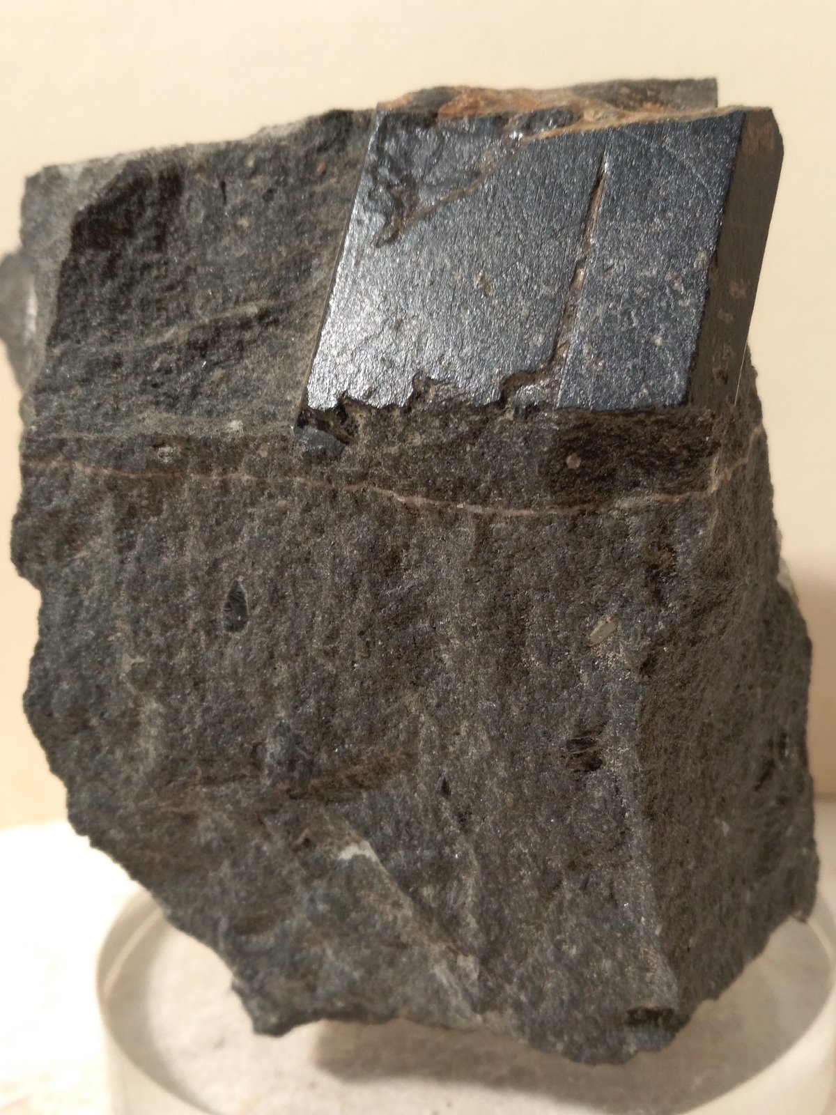 Kaersutite
72 x 62 mm
(Autor: Sante Celiberti)