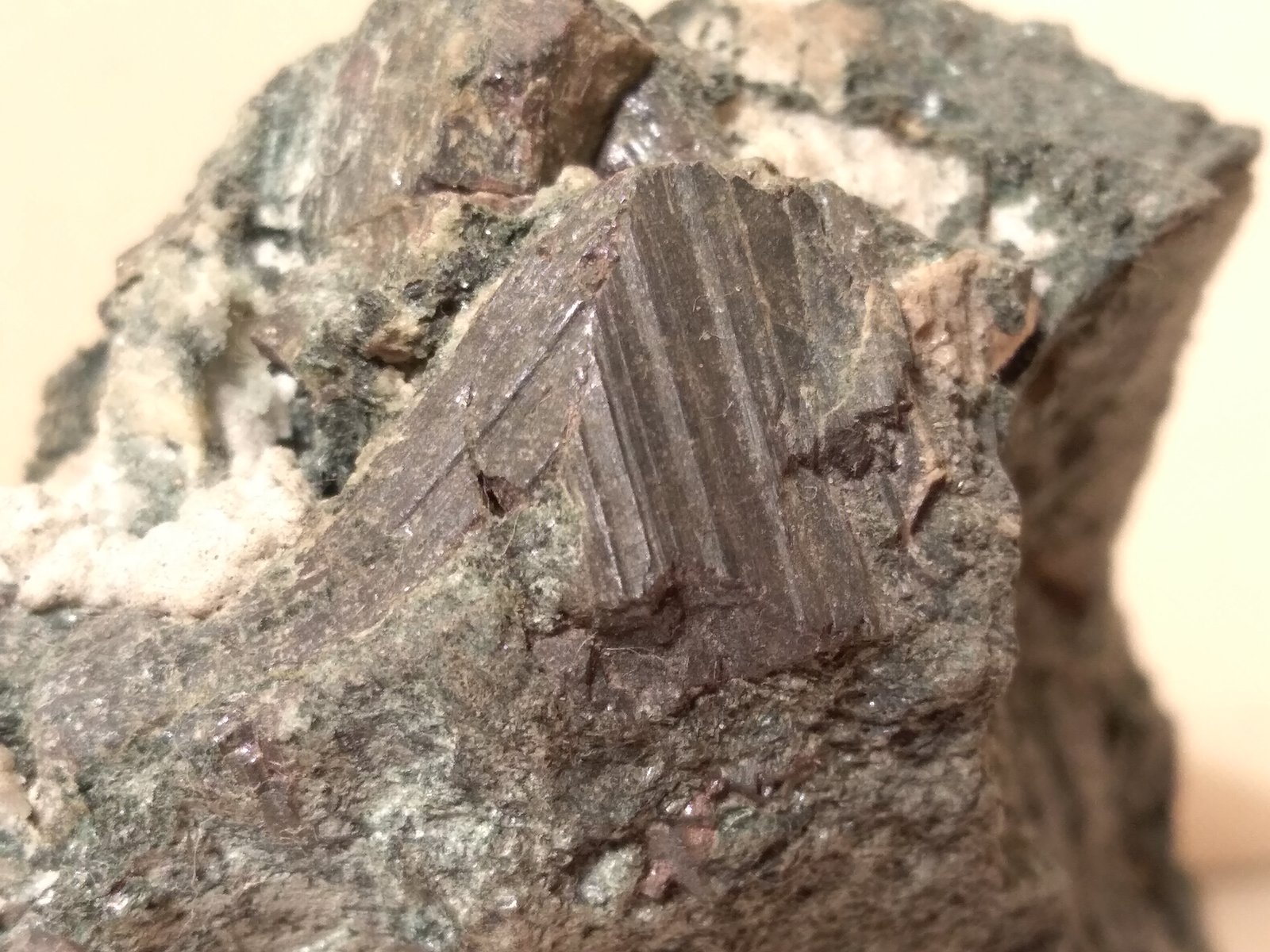 Rutile
93 x 54 mm
(Autor: Sante Celiberti)