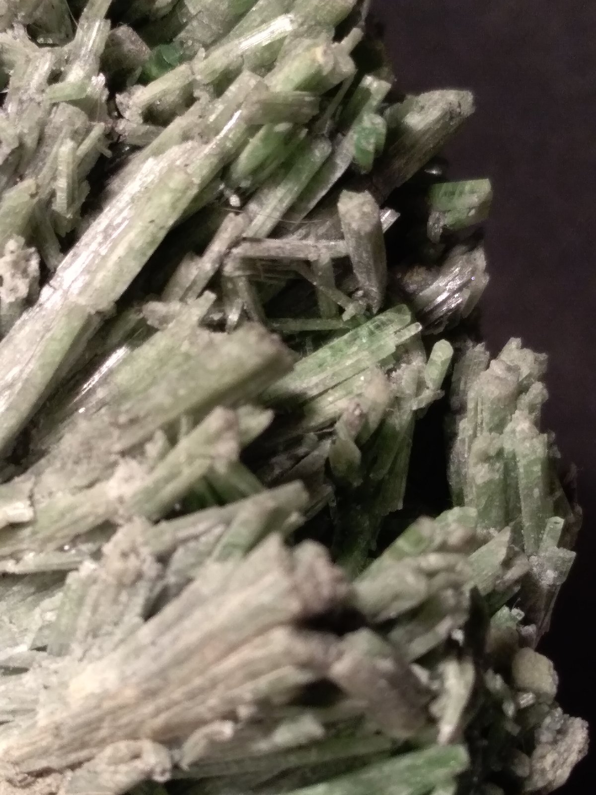 Omphacite
92 x 73 mm
(Autor: Sante Celiberti)
