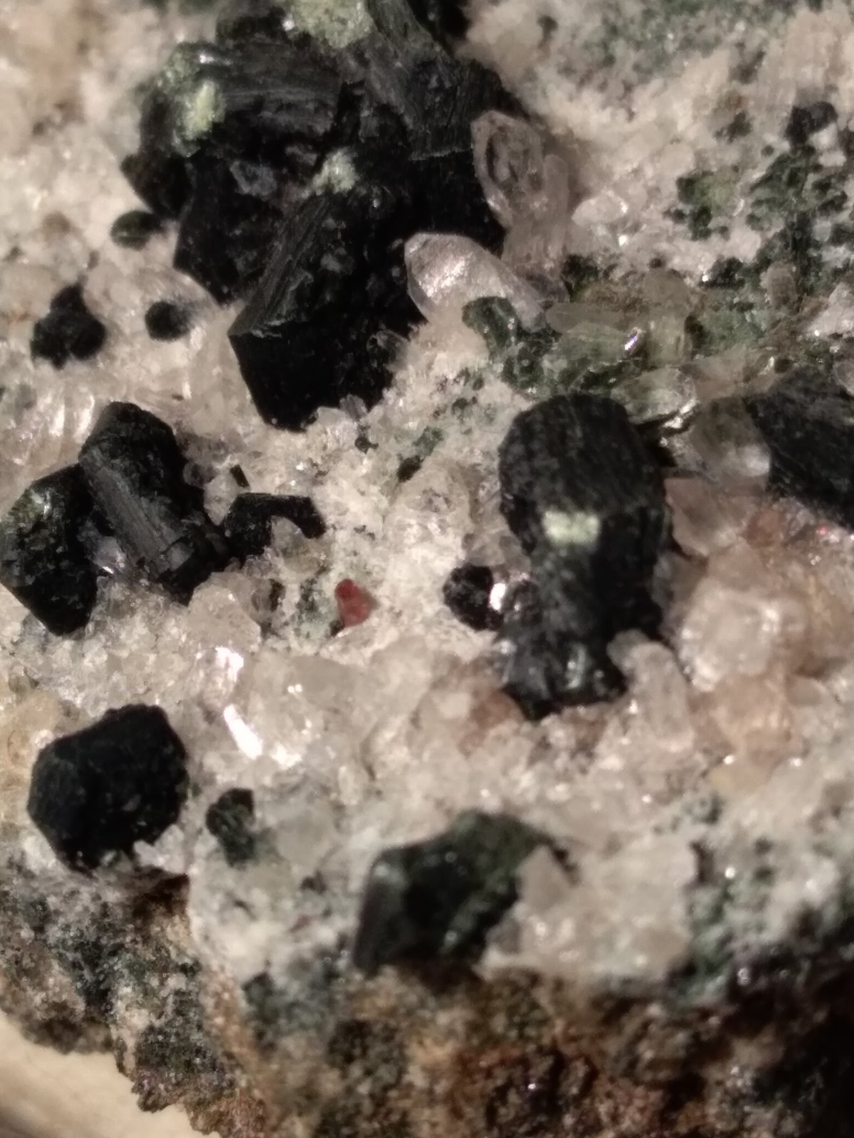 Clinochlore (variety pennine), Quartz, Titanite
72 x 56 mm
(Autor: Sante Celiberti)