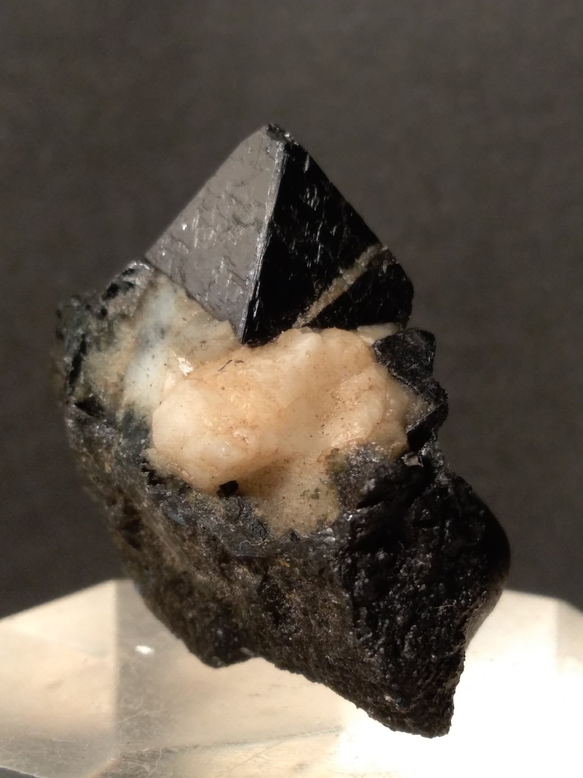 Magnetite
31 x 29 mm
(Autor: Sante Celiberti)