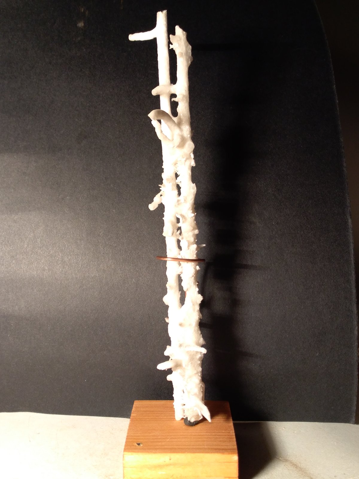 Aragonite
194 x 35 mm
(Autor: Sante Celiberti)