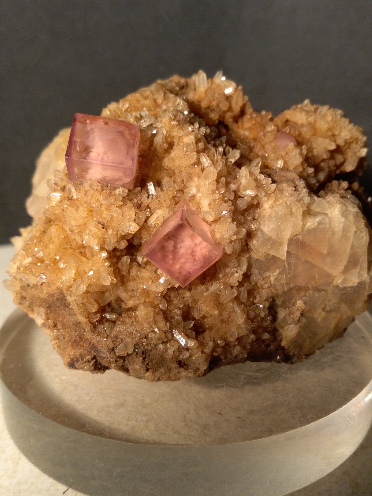 Fluorite
65 x 49 mm
(Autor: Sante Celiberti)