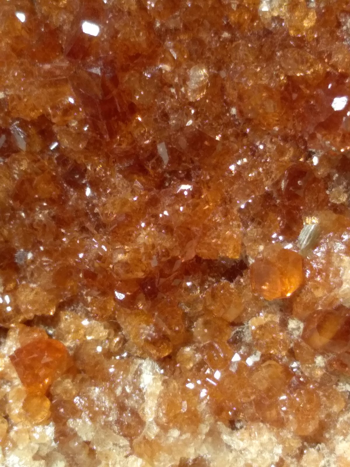 Grossular (variety hessonite), Diopside, Clinochlore
105 x 105 mm
(Autor: Sante Celiberti)
