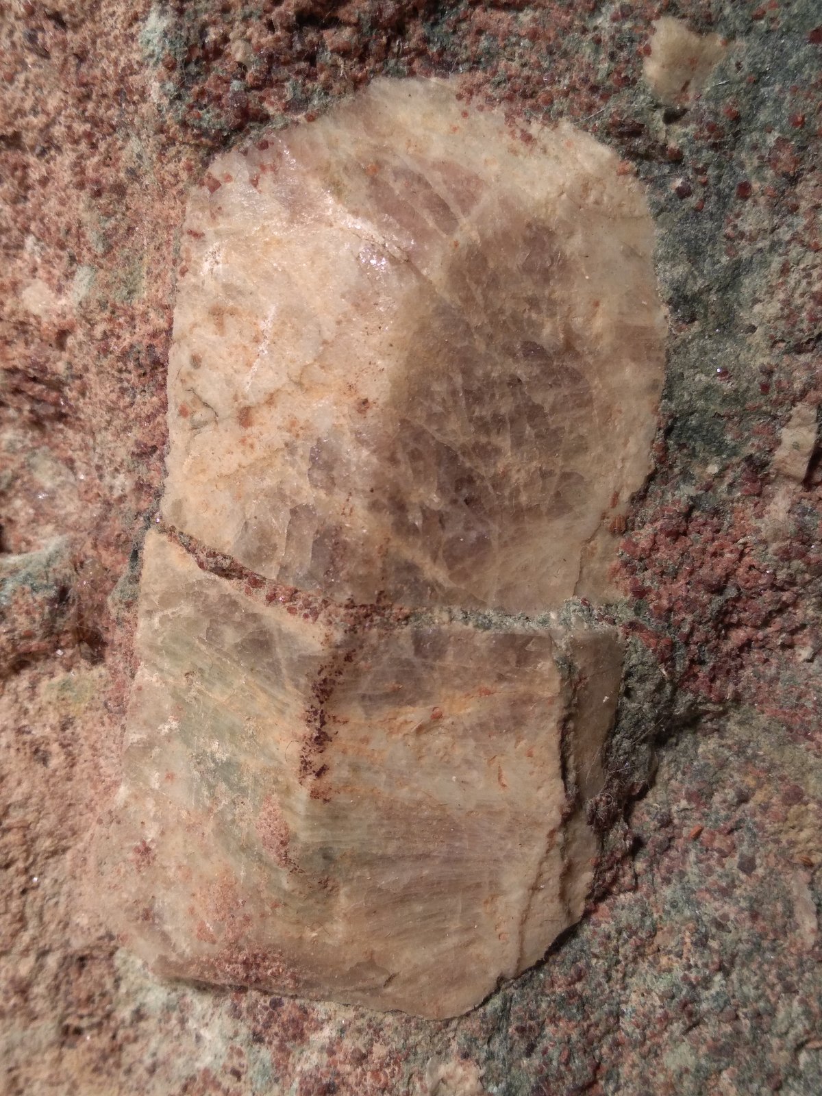 Titanite
122 x 92 mm
(Autor: Sante Celiberti)