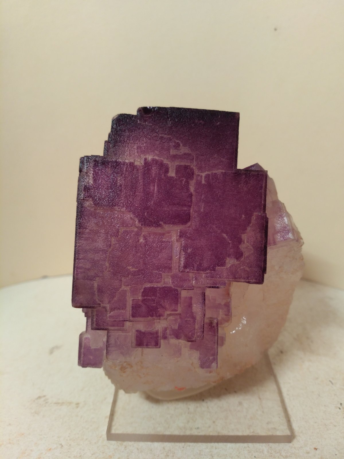 Fluorite
72 x 58 mm
(Autor: Sante Celiberti)