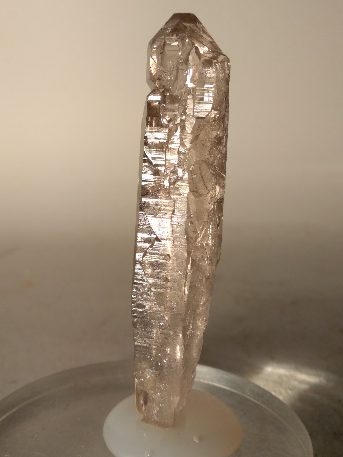 Quartz (smokey)
73 x 16 mm
(Autor: Sante Celiberti)