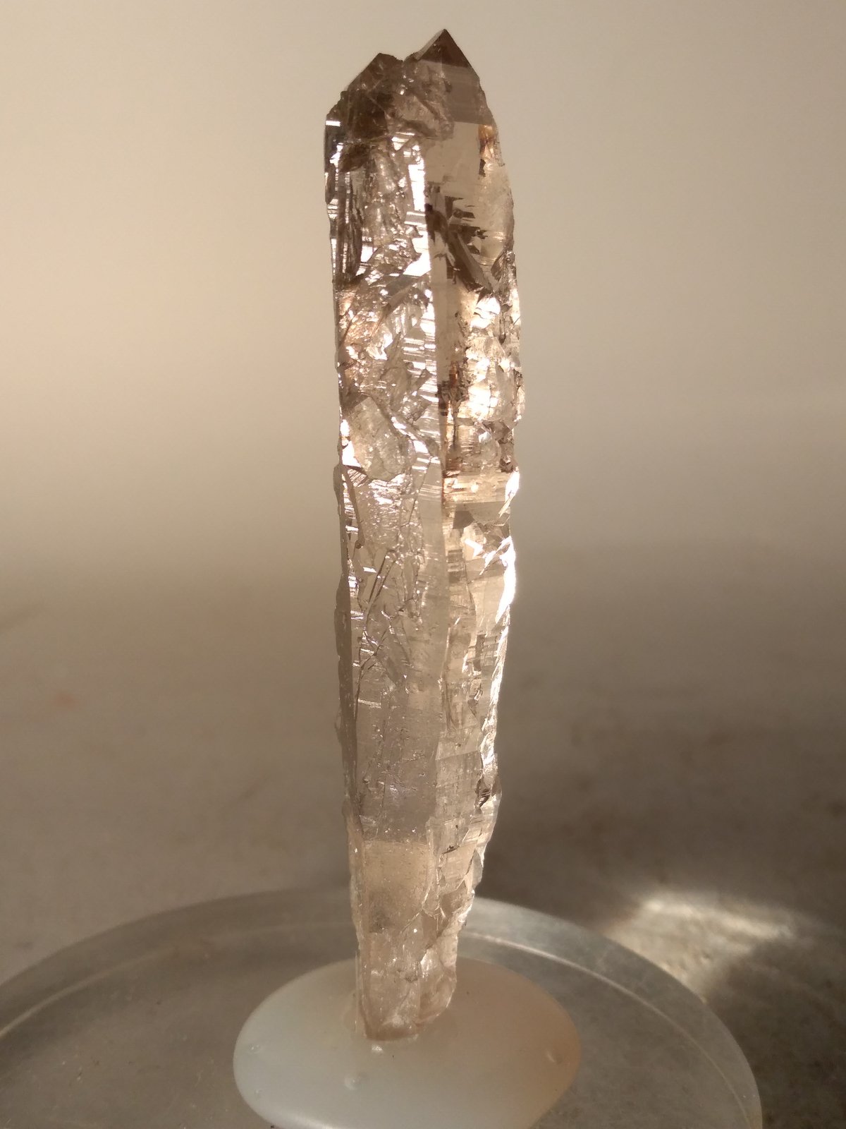 Quartz (smokey)
73 x 16 mm
(Autor: Sante Celiberti)