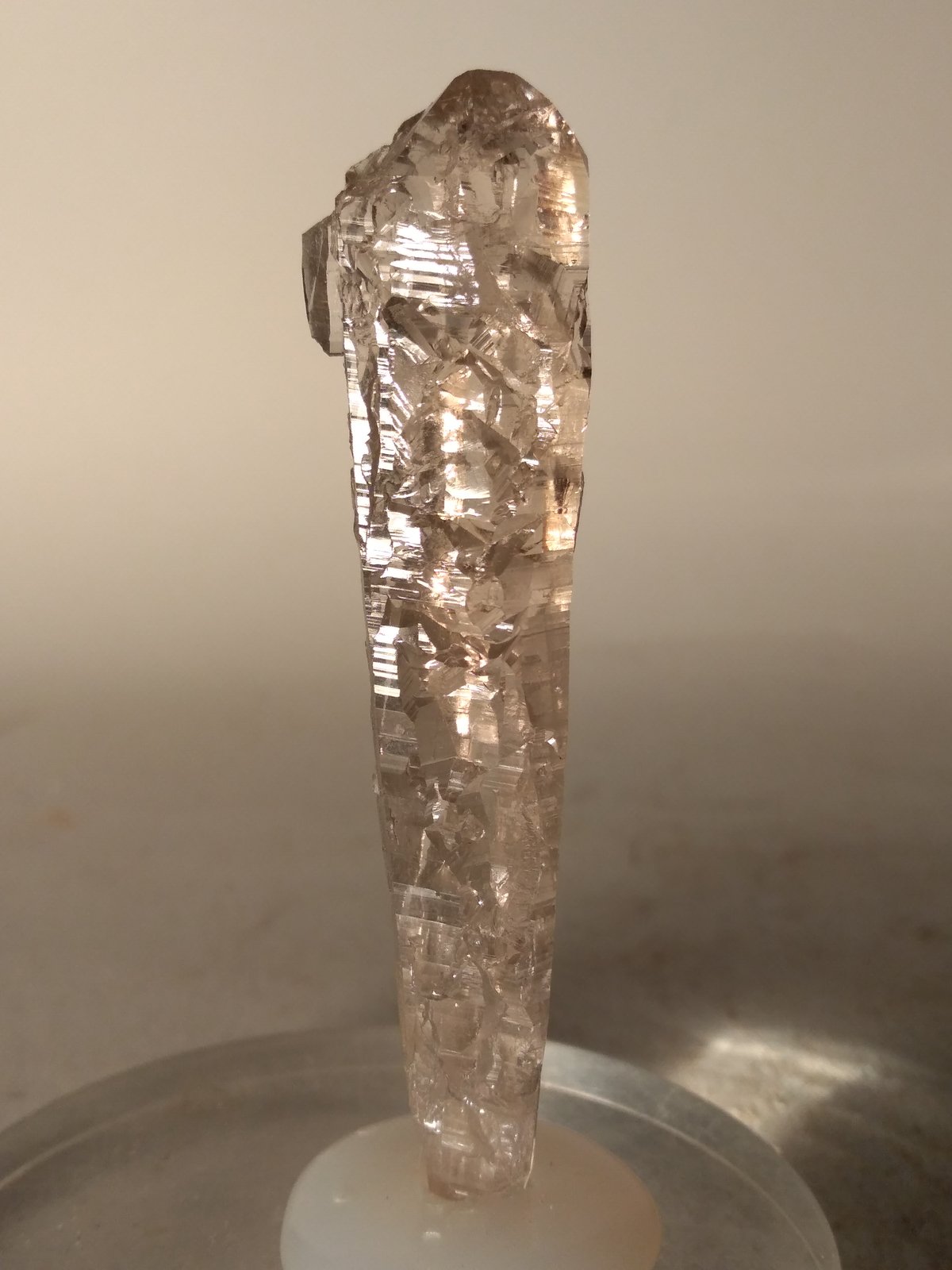 Quartz (smokey)
73 x 16 mm
(Autor: Sante Celiberti)