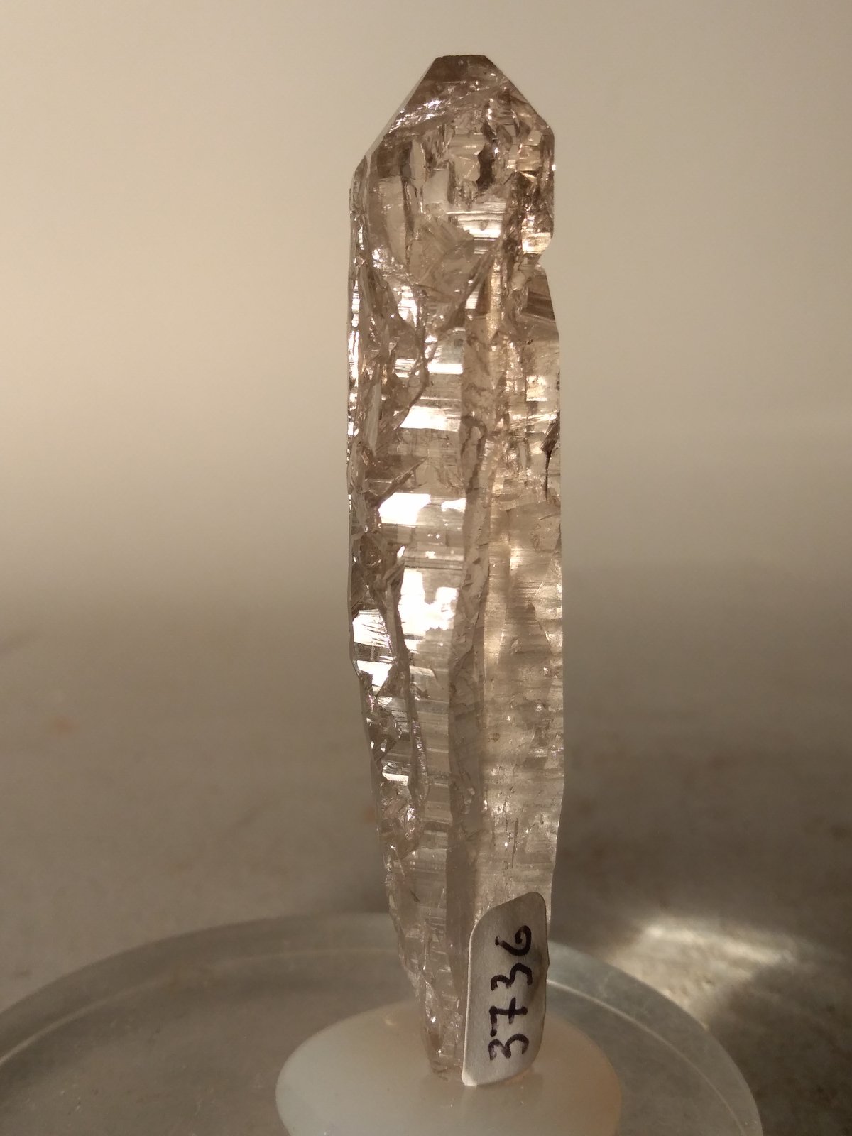 Quartz (smokey)
73 x 16 mm
(Autor: Sante Celiberti)
