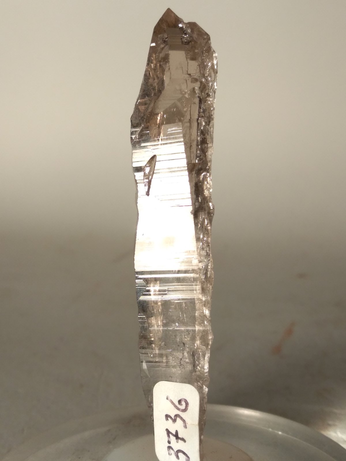 Quartz (smokey)
73 x 16 mm
(Autor: Sante Celiberti)