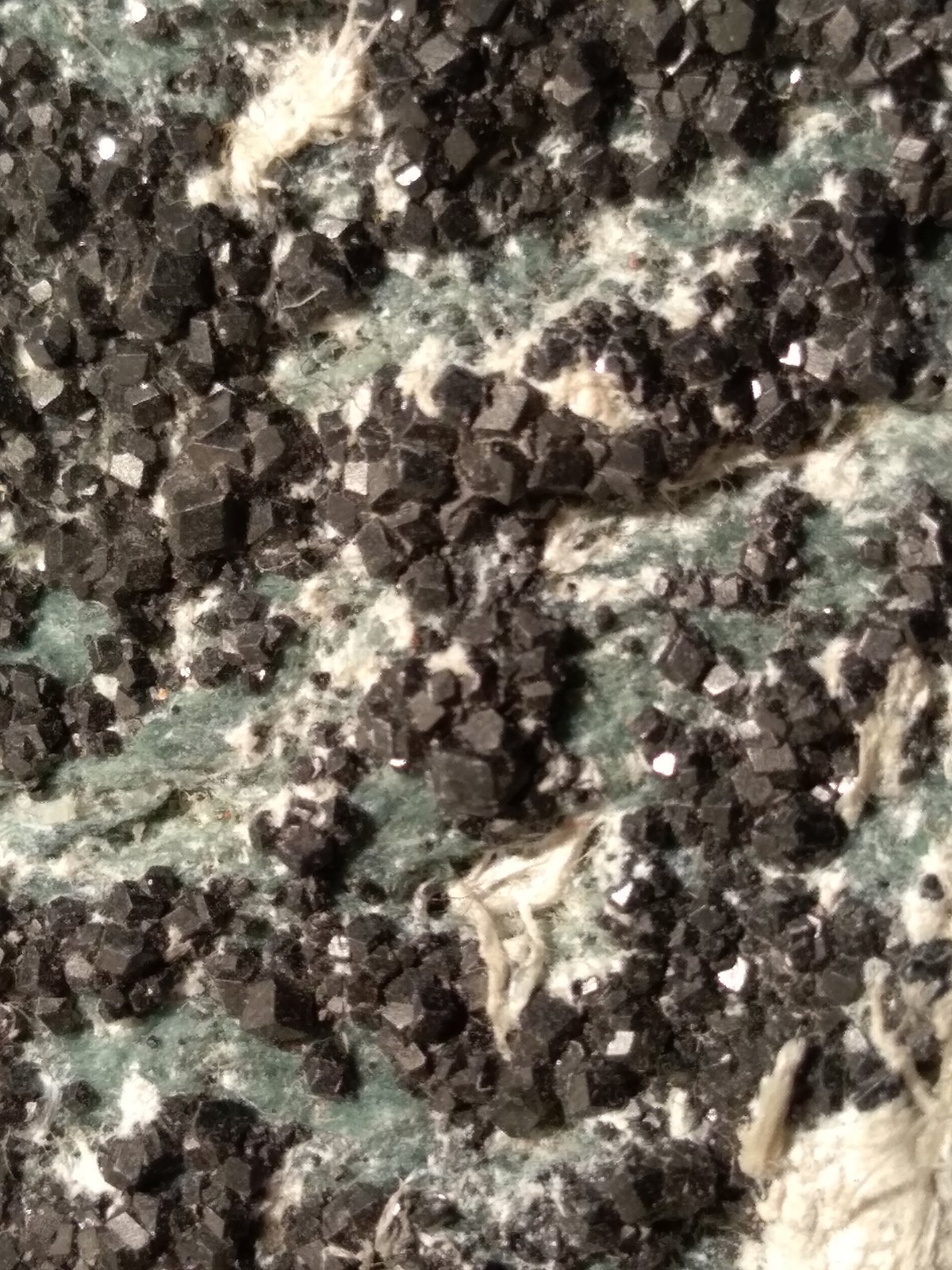 Magnetite, Asbestos
92 x 42 mm
(Autor: Sante Celiberti)