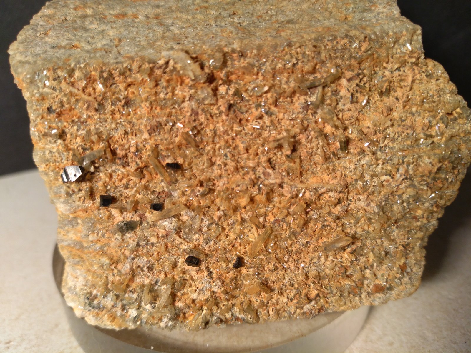 Anatase, Quartz
61 x 64 mm
(Autor: Sante Celiberti)