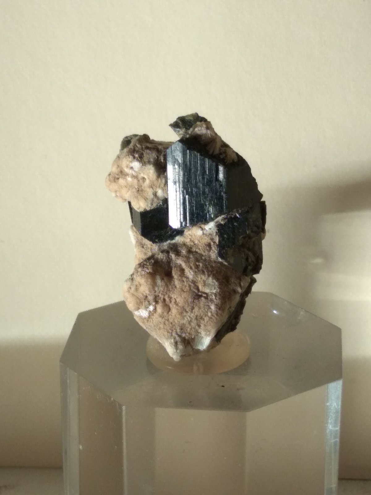 Augite (variety Fassaite)
36 x 22 mm
(Autor: Sante Celiberti)